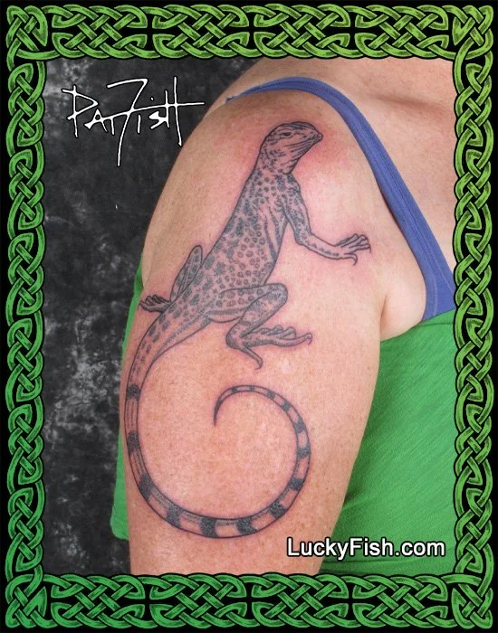 1790-lizard-framed2.jpg