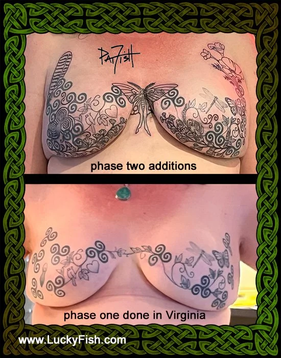 Breast Cancer Scars Transformation