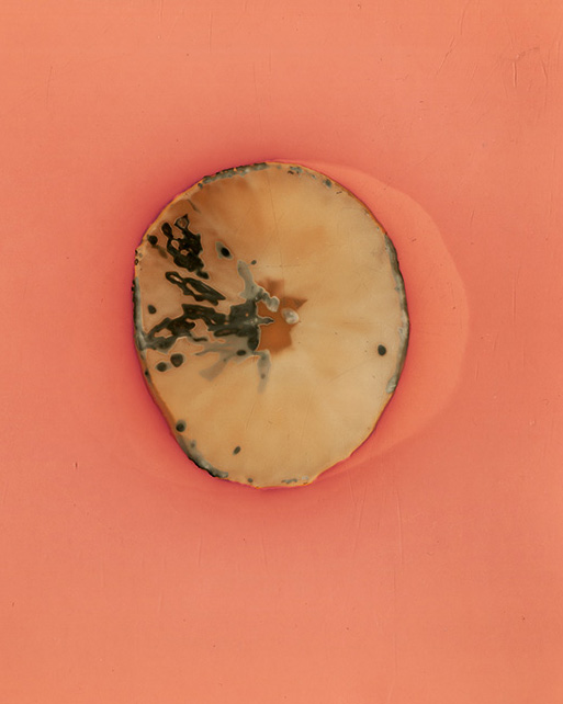 Citrus