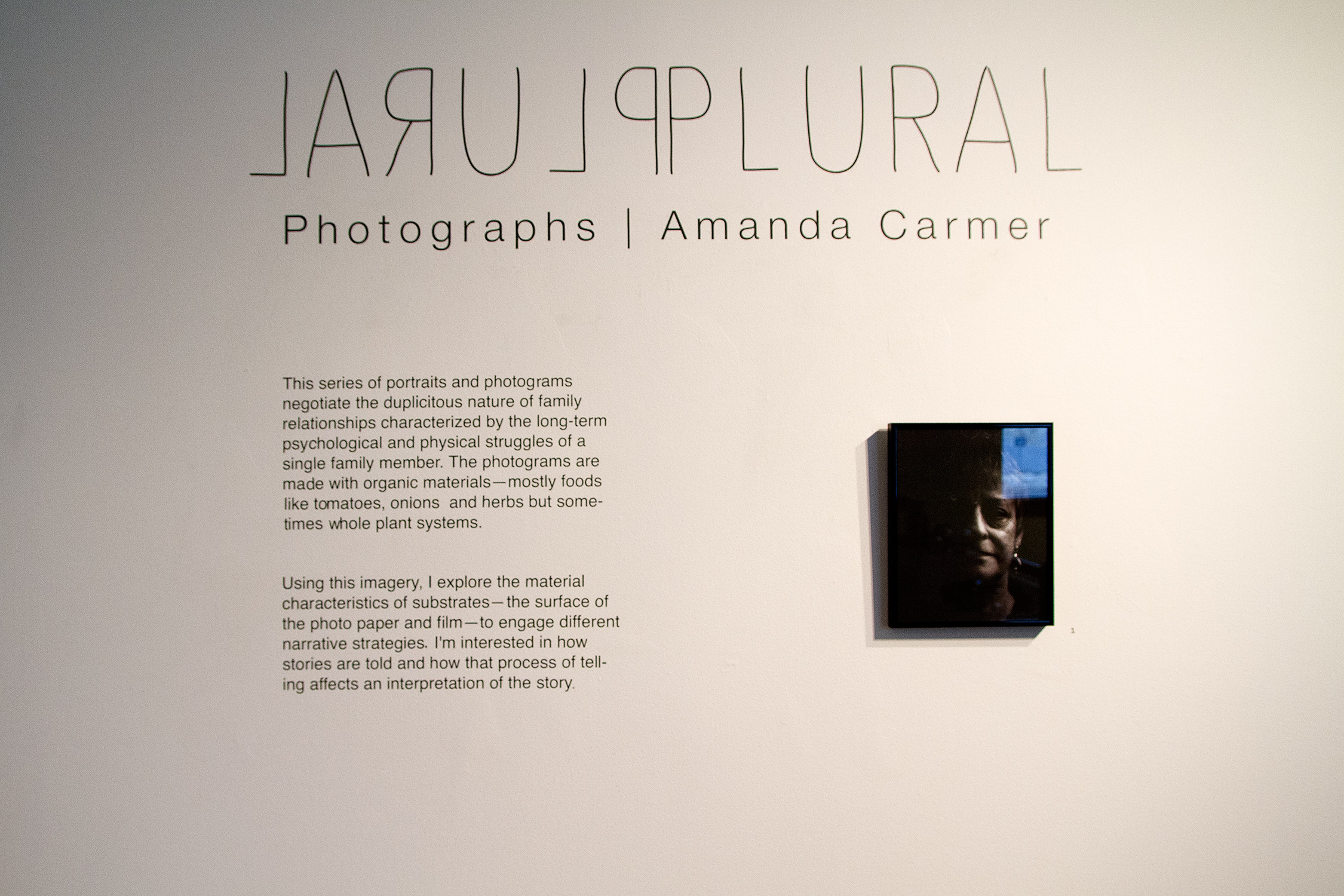 from Plural, Calvin College's 106 Gallery, Grand Rapids, MI Oct-Nov 2014