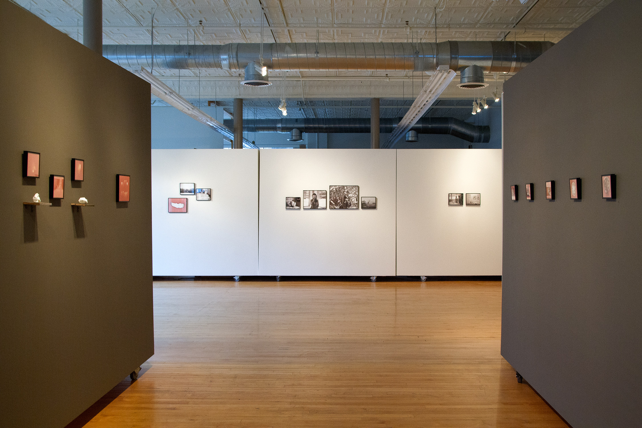 from Plural, Calvin College's 106 Gallery, Grand Rapids, MI Oct-Nov 2014