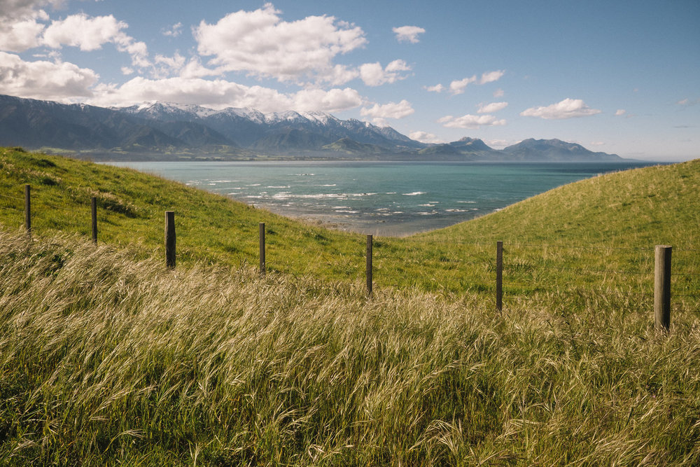 Kaikoura_3.jpg