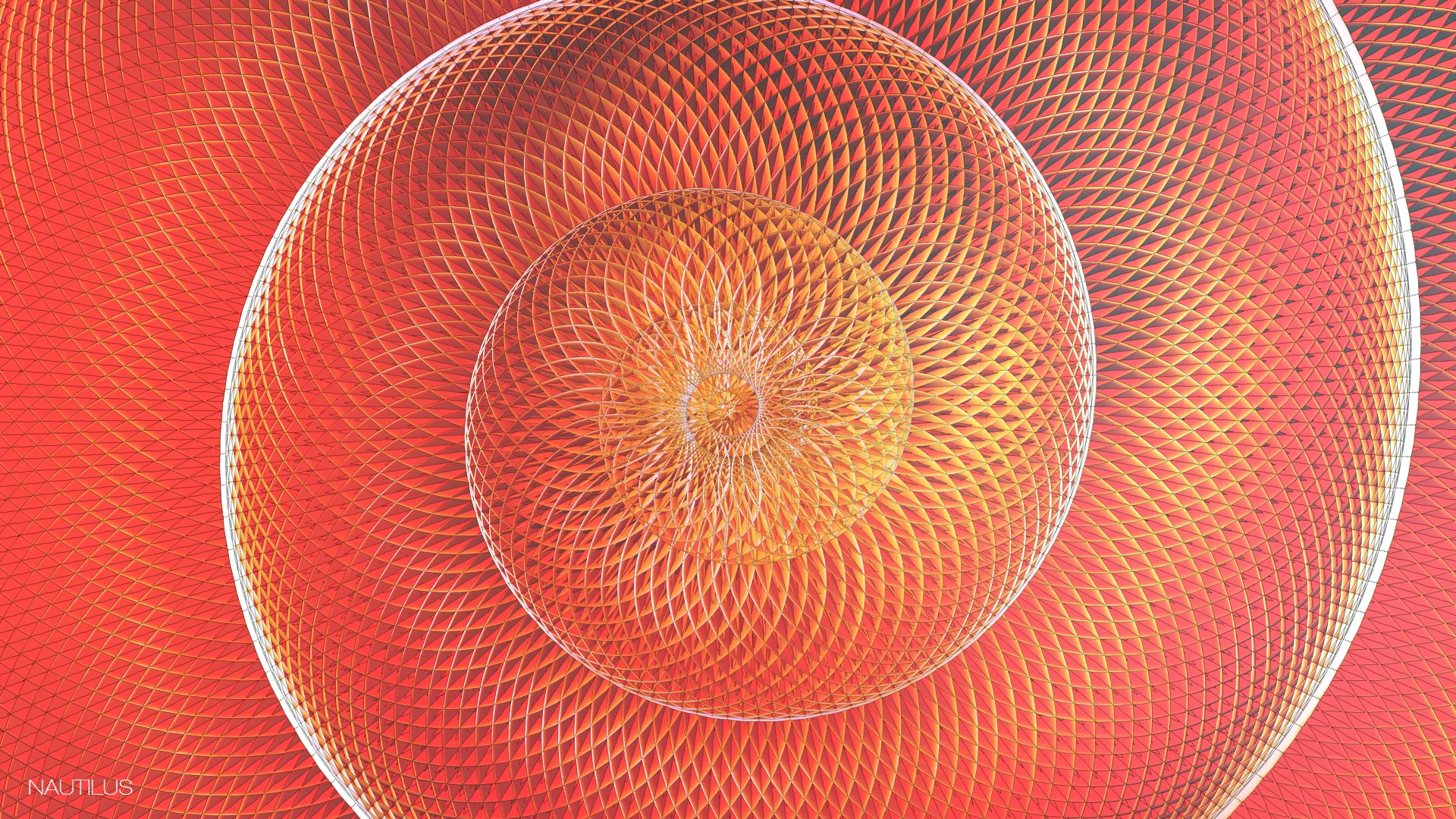 Nautilus.