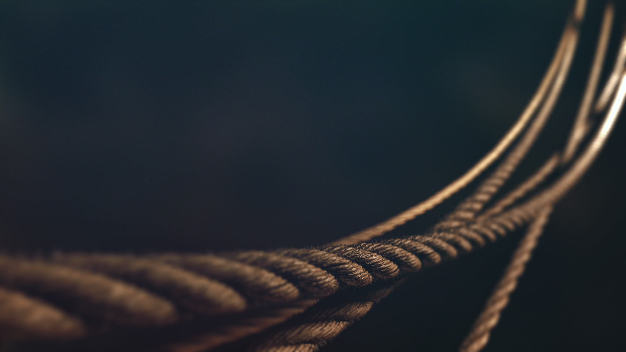 Tied up.jpg