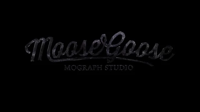 MooseGoose Studio Demo Reel 2016