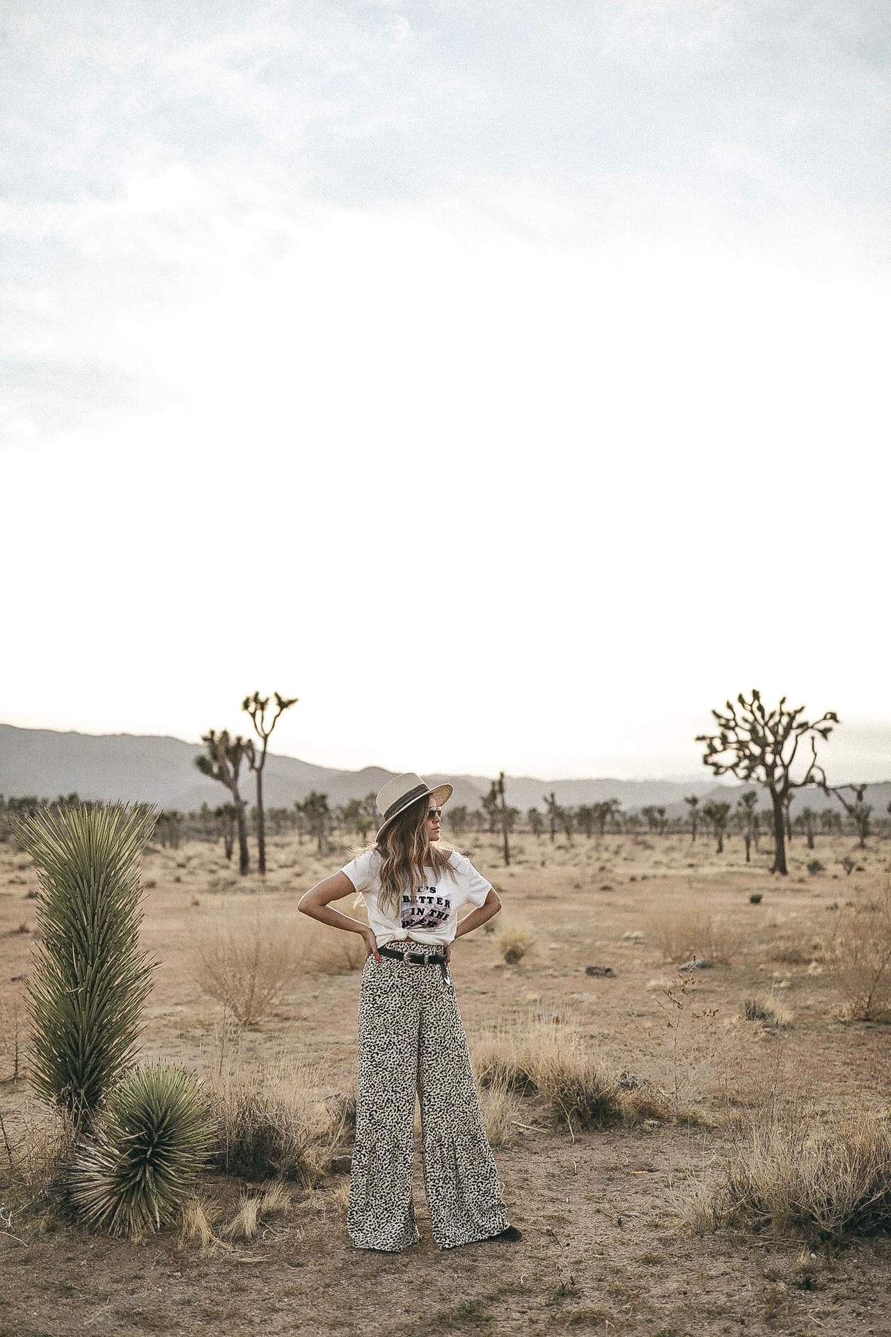 It's Better In The Desert