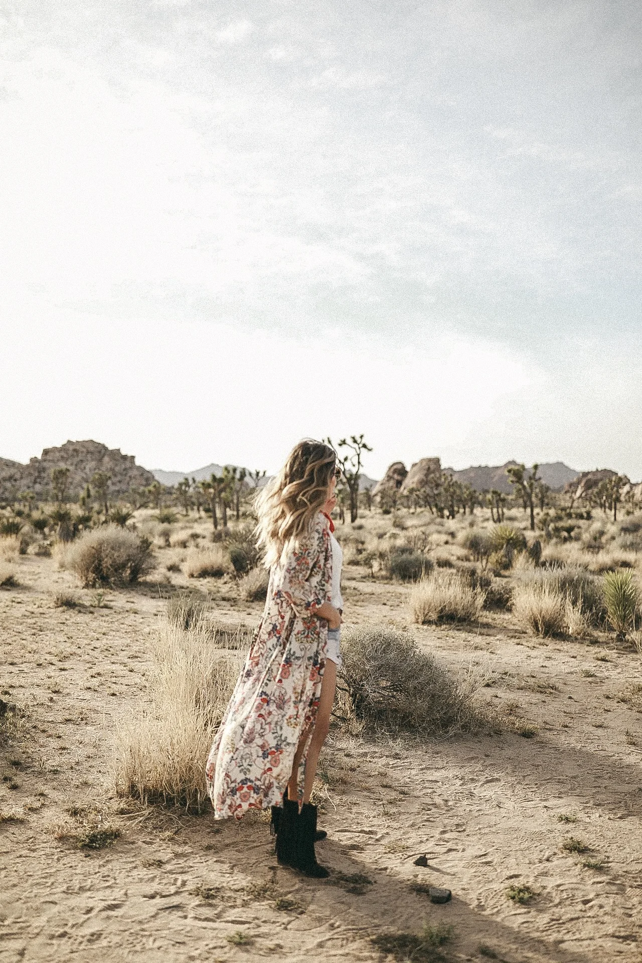 Find Me in the Desert