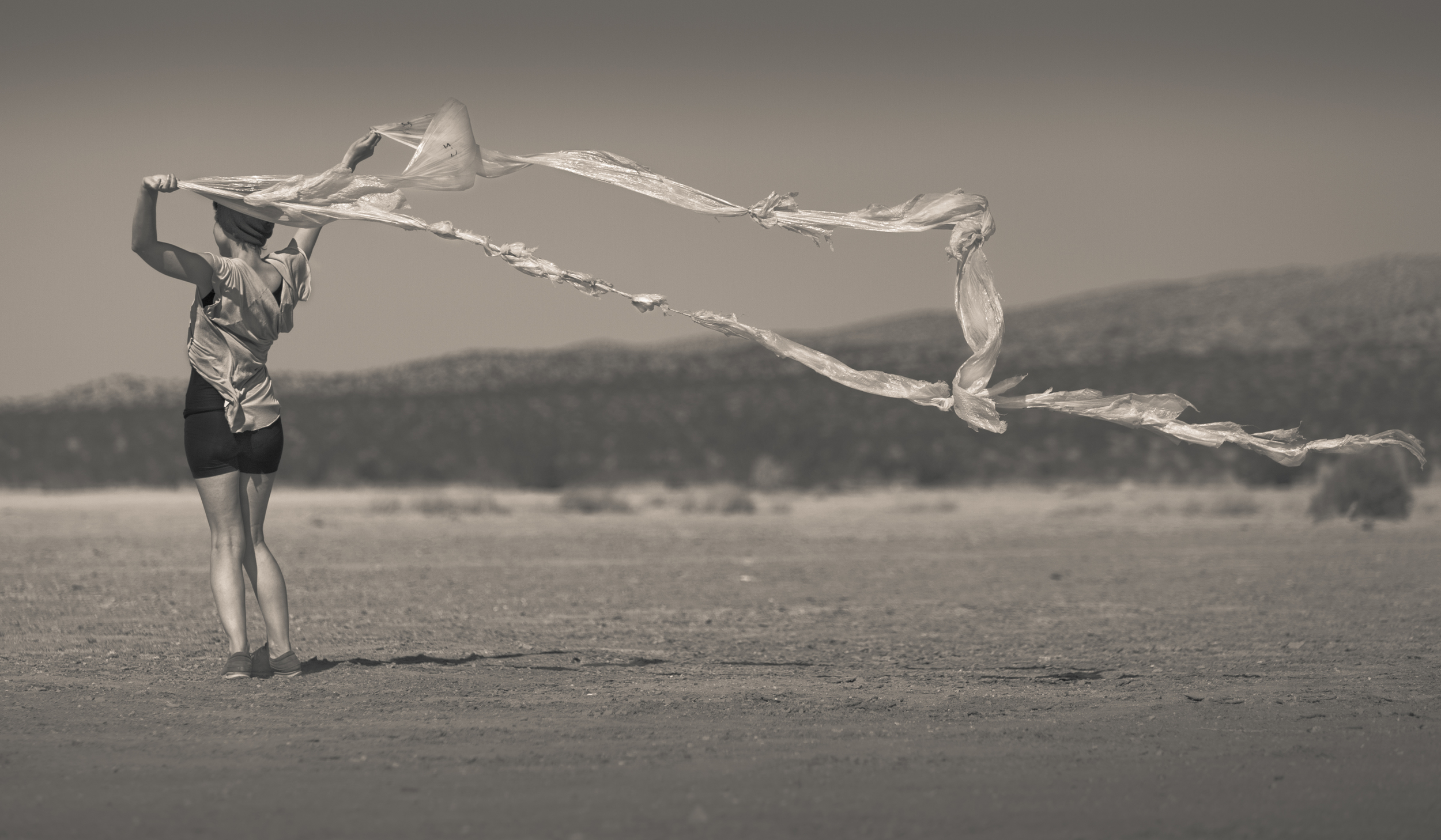 In The Wind