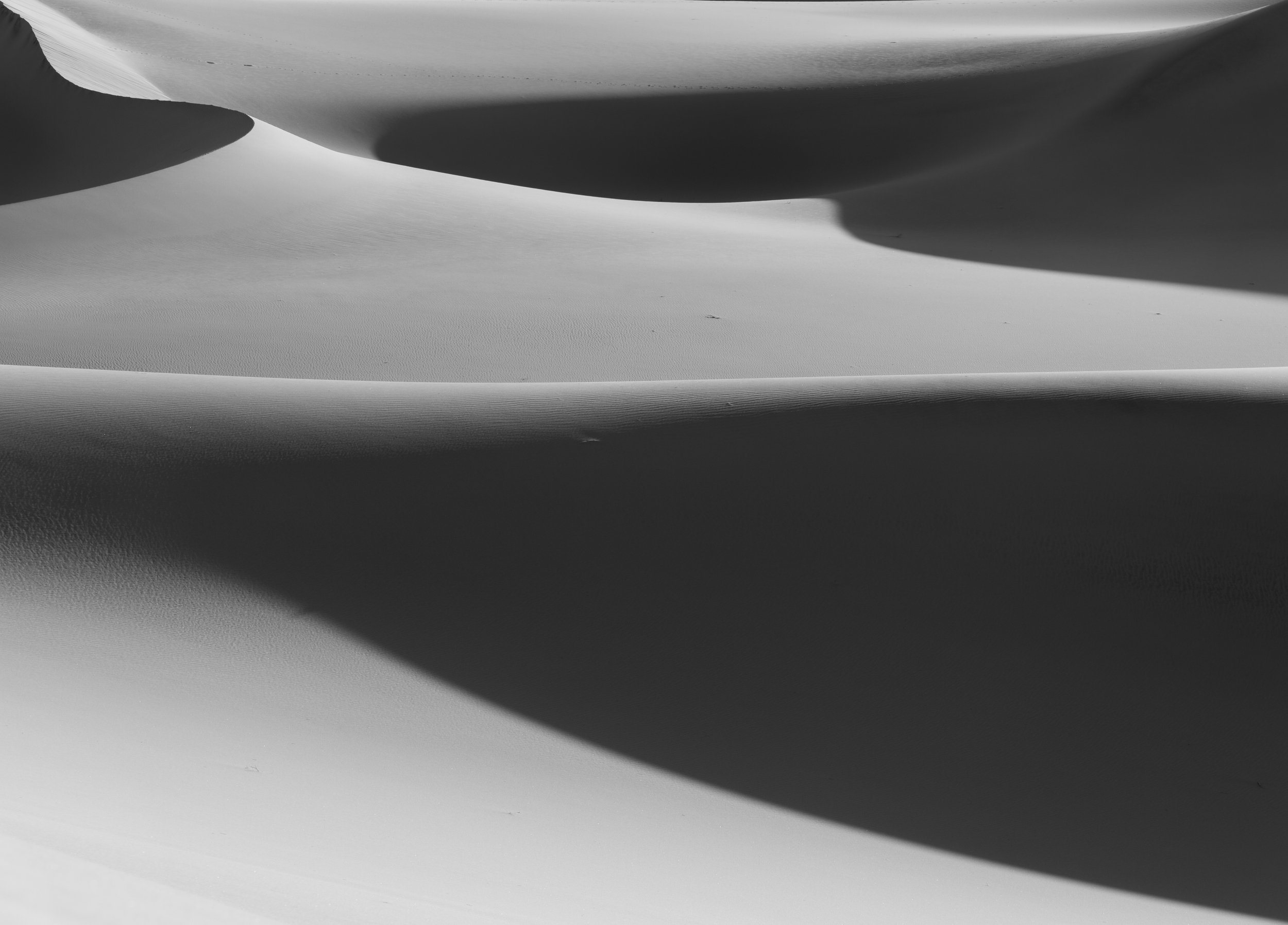 Desert Curves