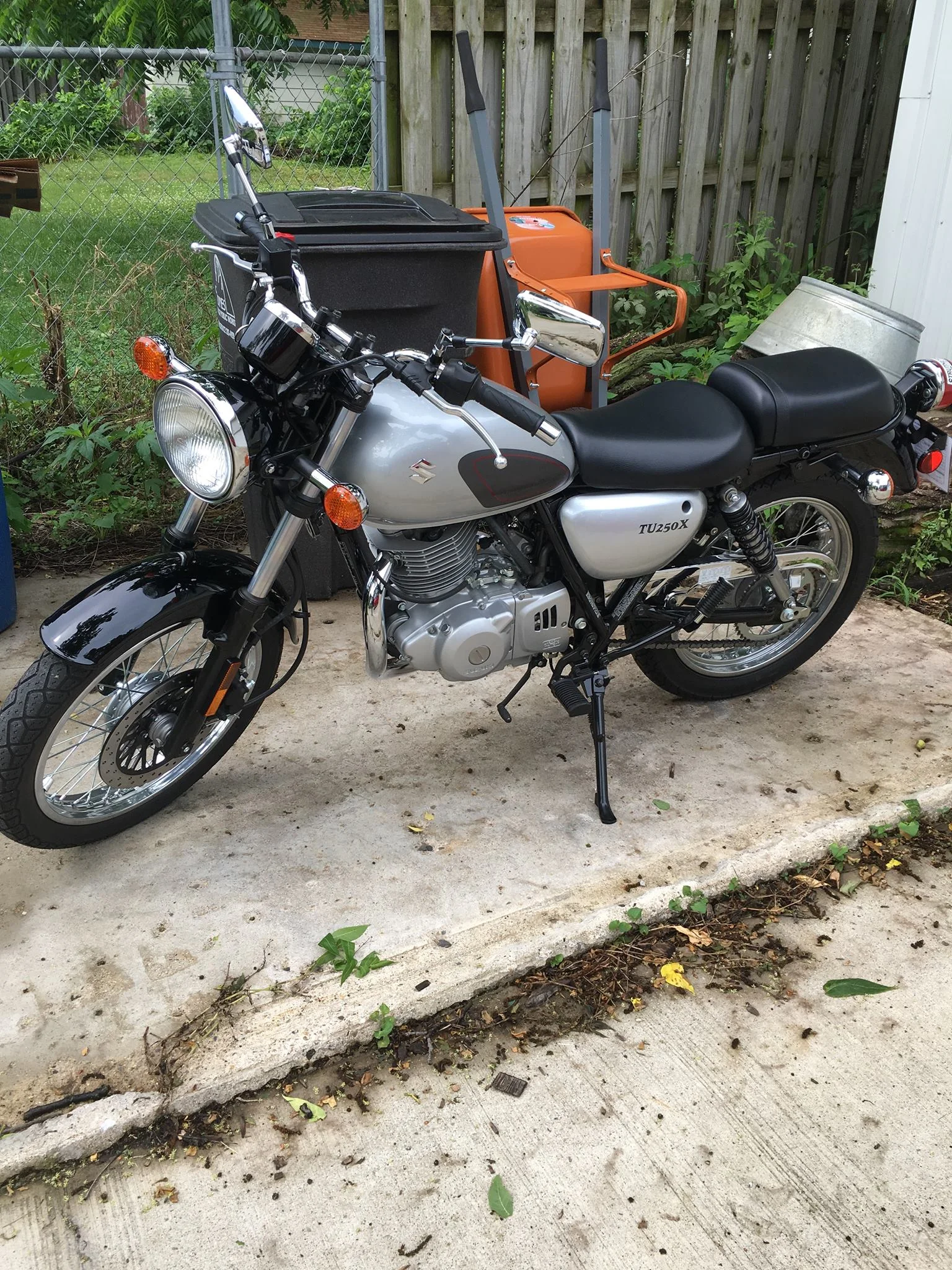 2015-Motorcycle-Bunny.jpg