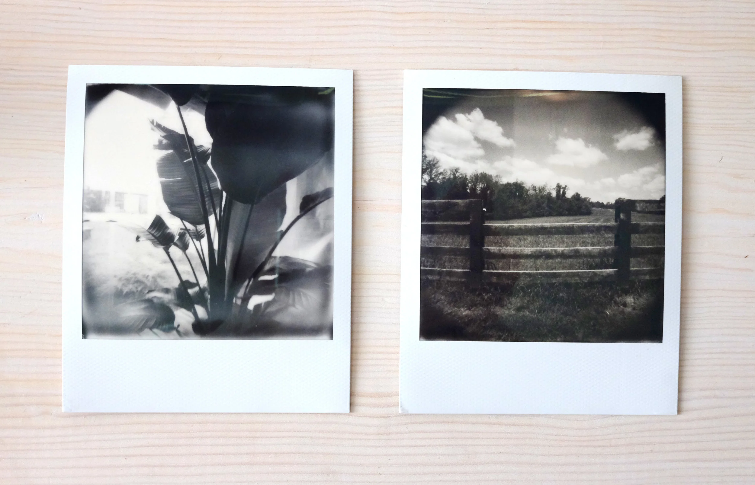  Two example shots from the focus-free Polaroid camera  