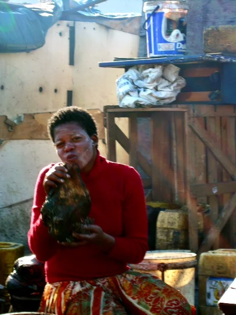 Local woman preparing goat for dinner and posing for the camera.