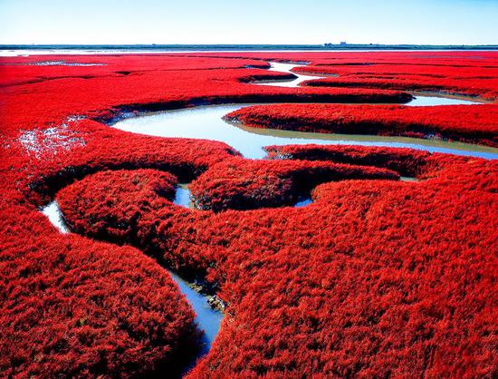  Red Beach China