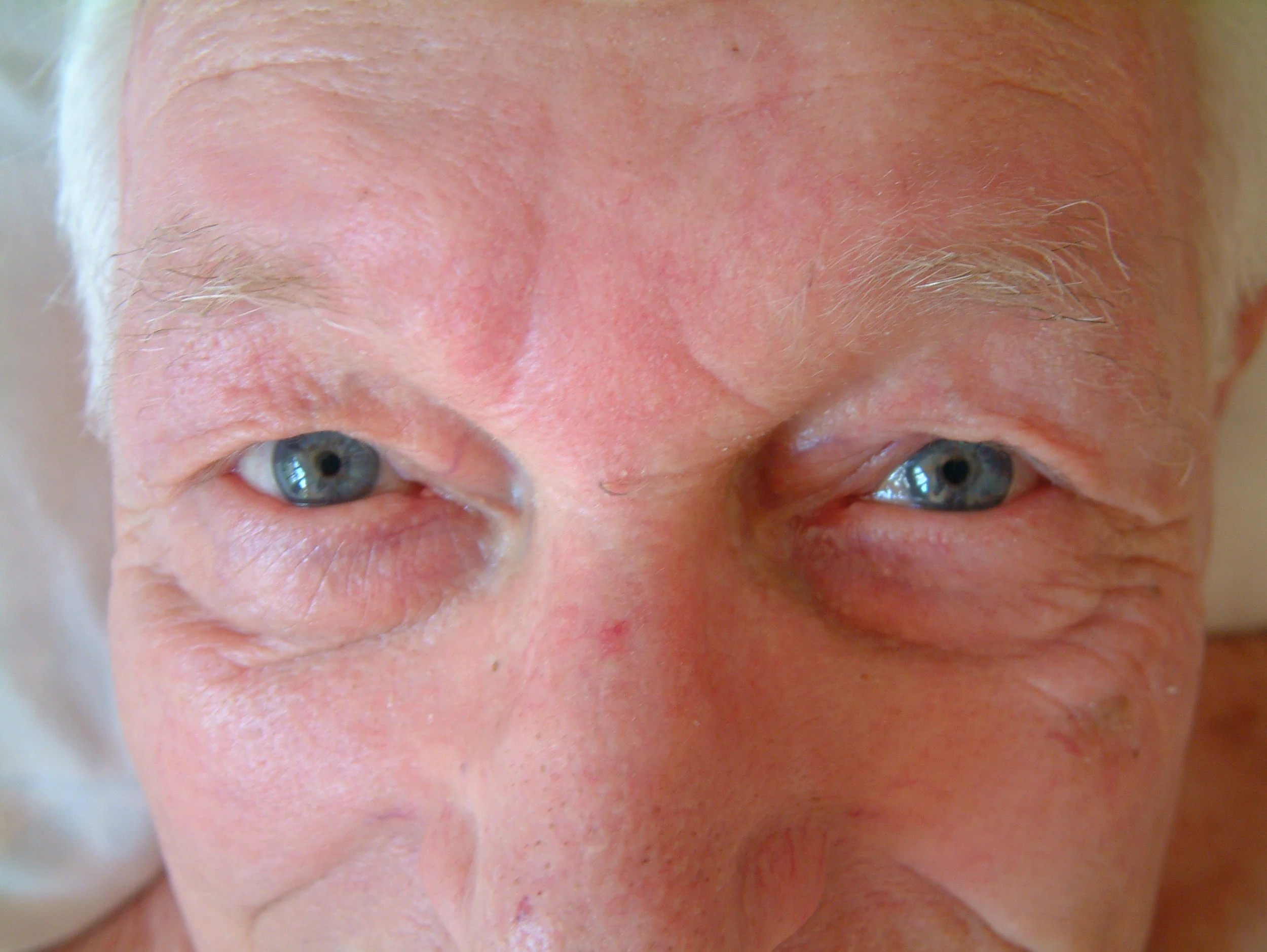 Dad eyes_direct look.jpg