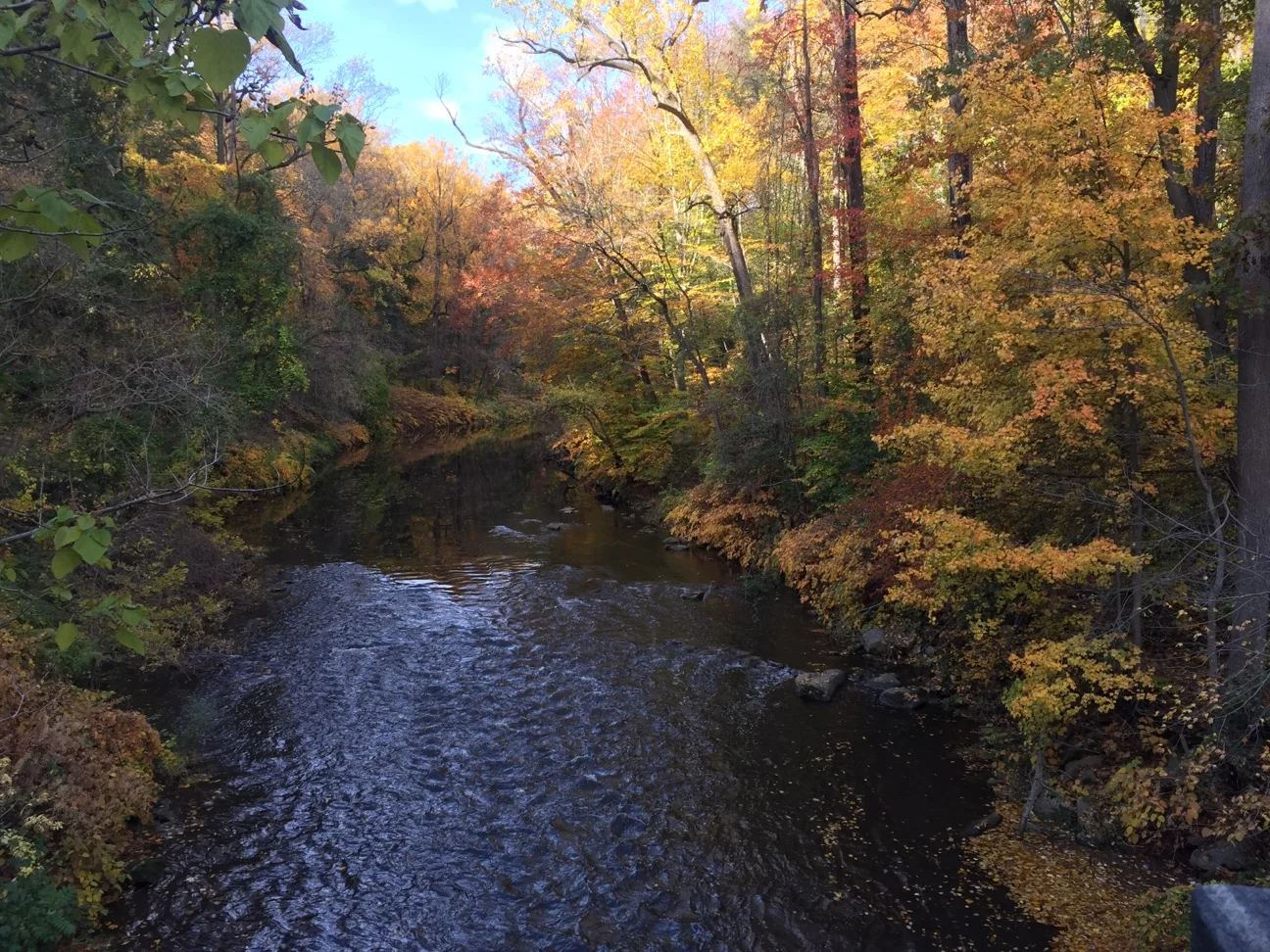 Photo 1 2.jpg