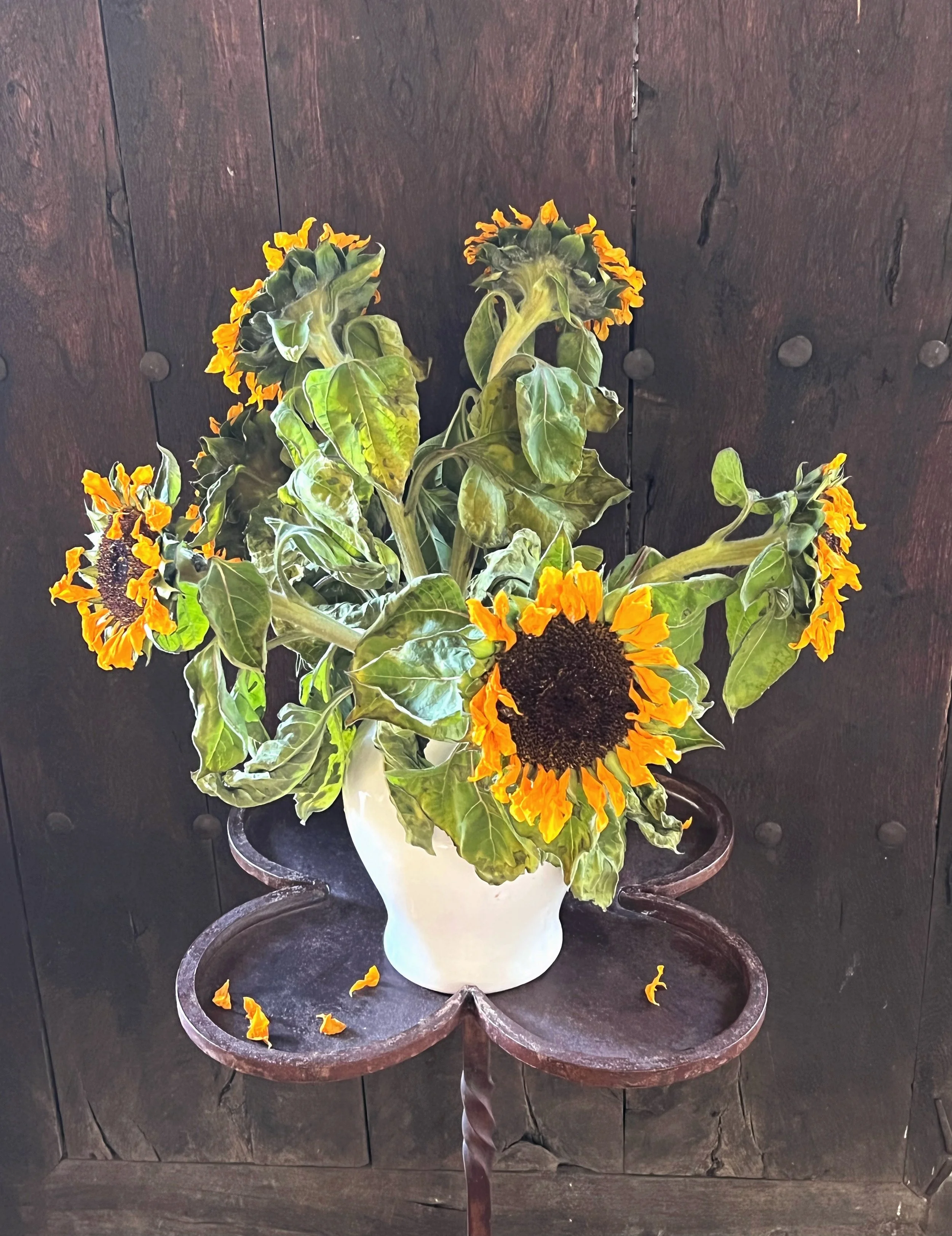 SUNFLOWERS_PSdarker.jpg