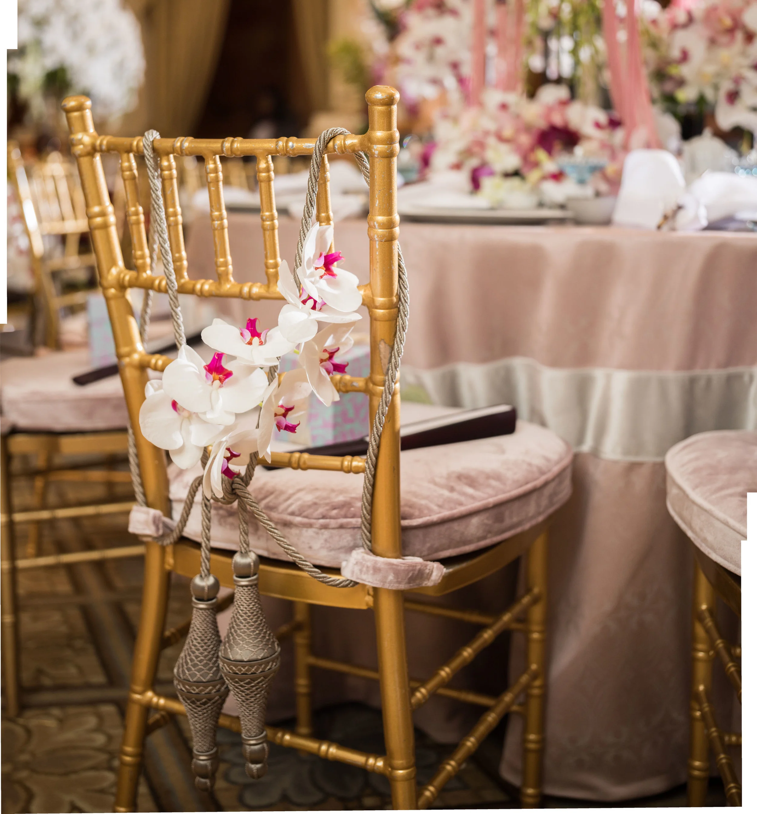 LandinPhoto_EVB_Orchid_005.jpg