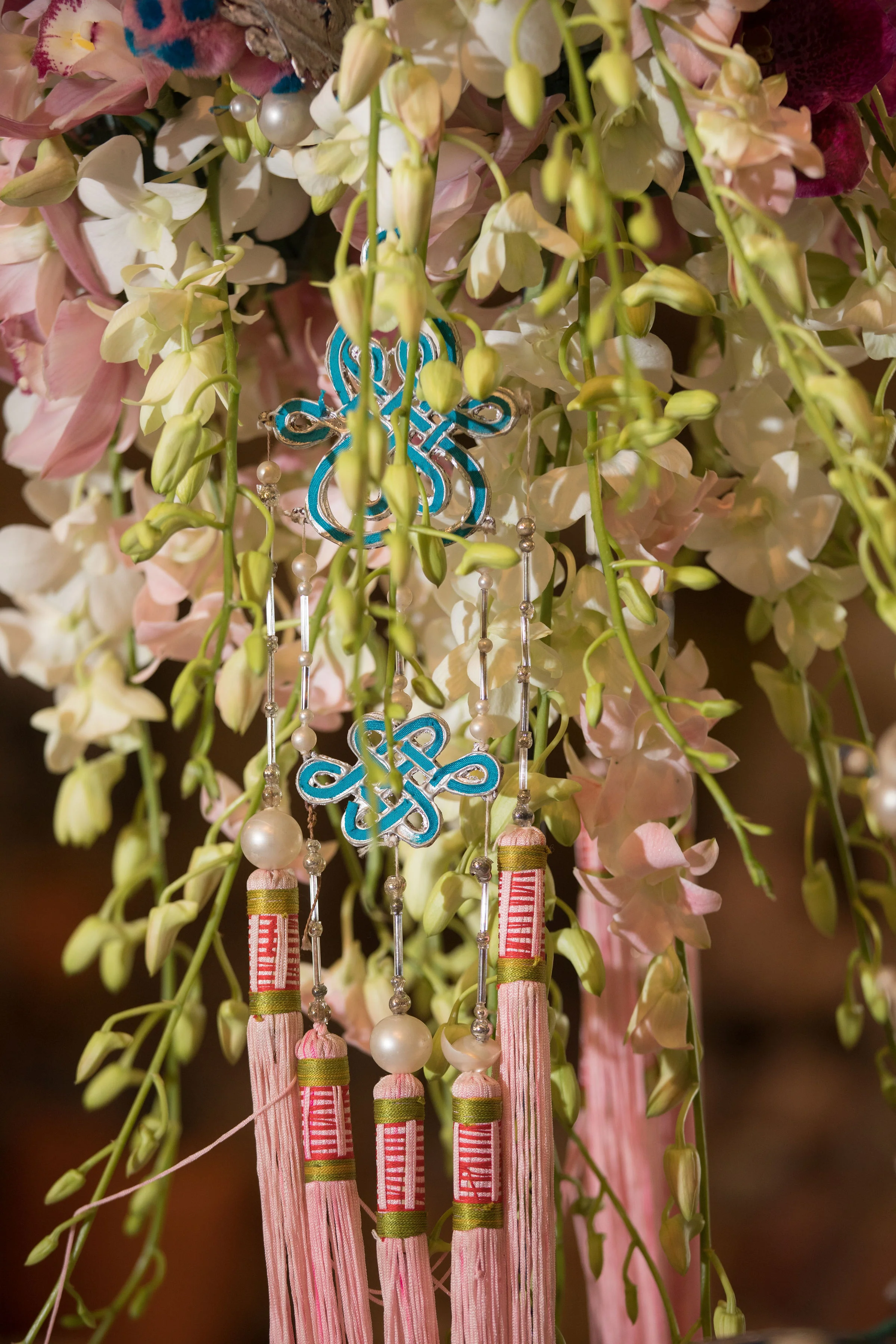 LandinPhoto_EVB_Orchid_008.jpg