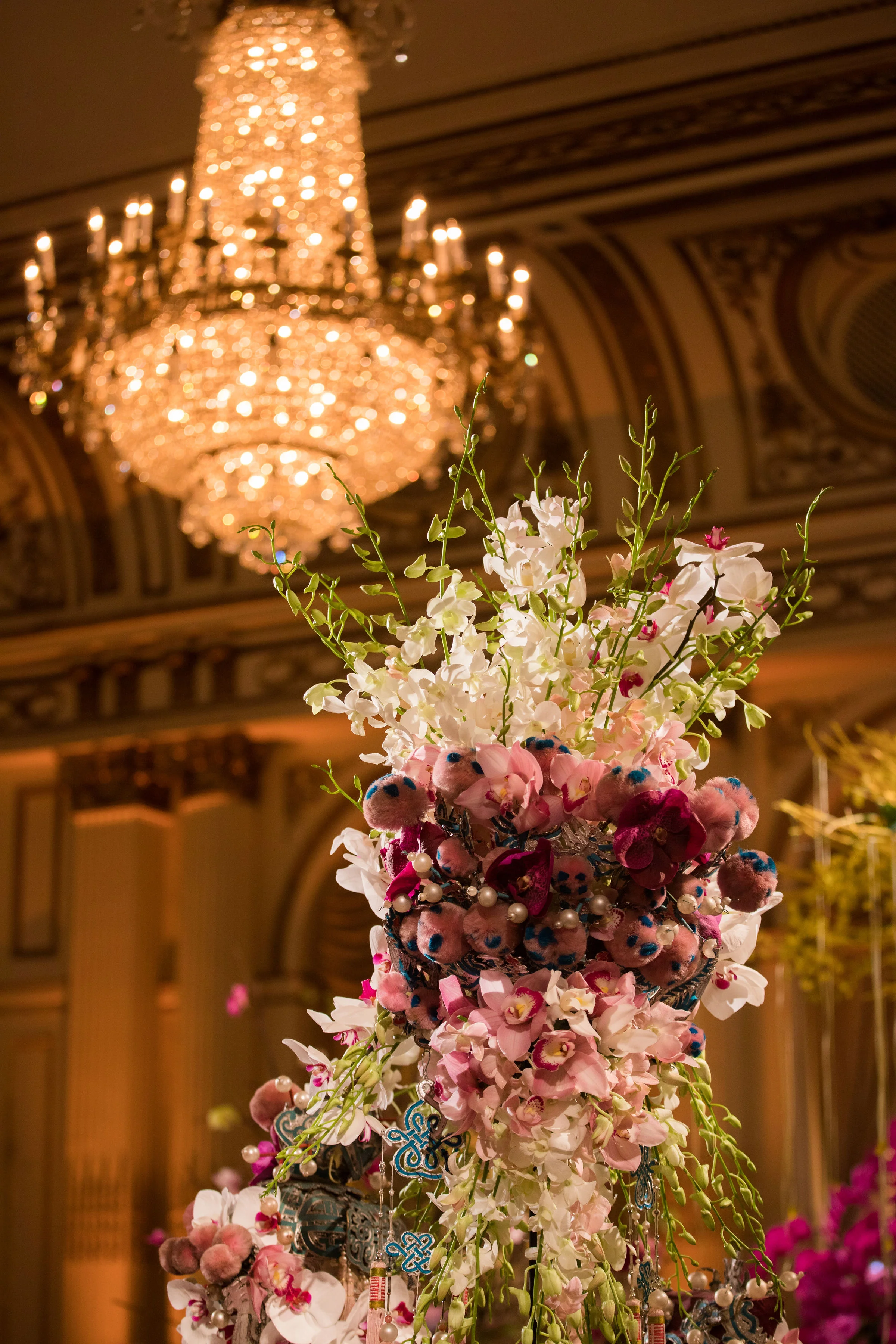 LandinPhoto_EVB_Orchid_013.jpg