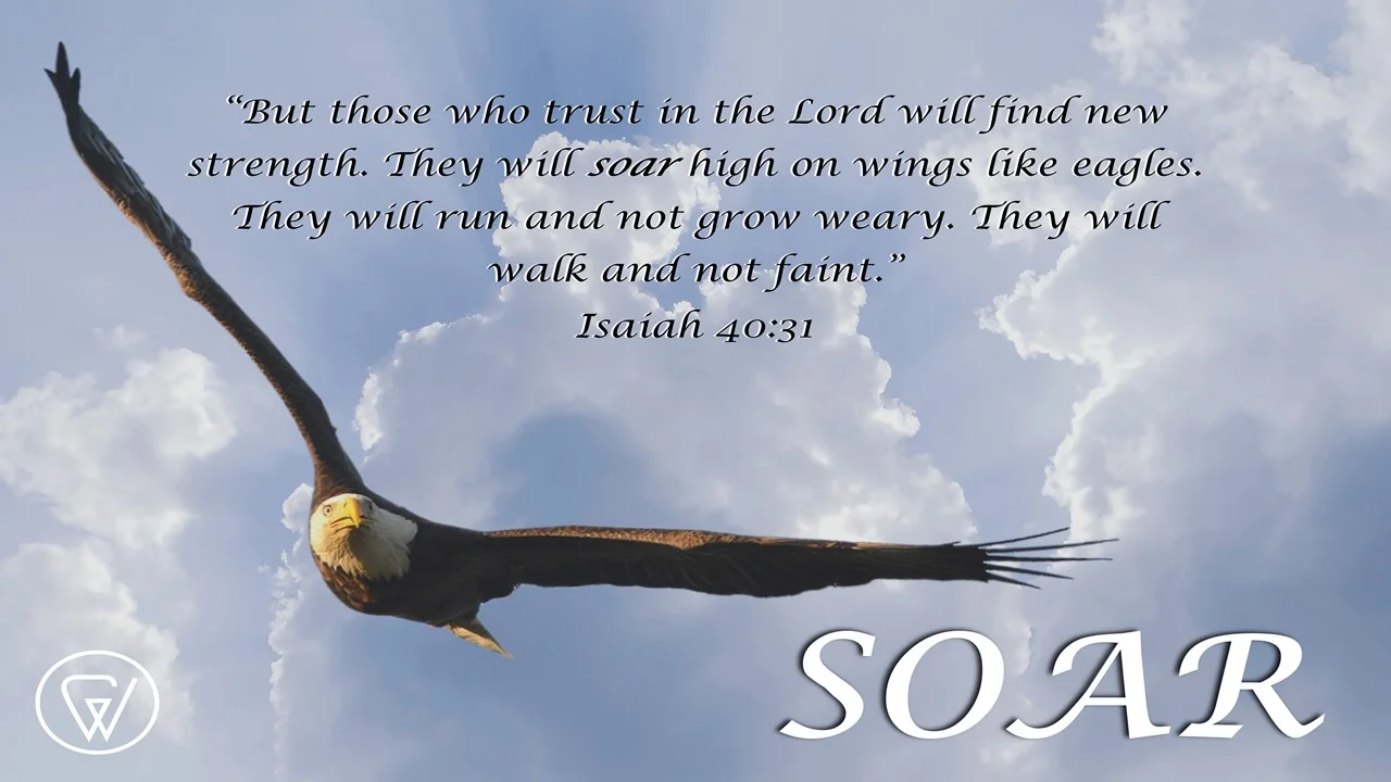 SOAR graphic.jpg