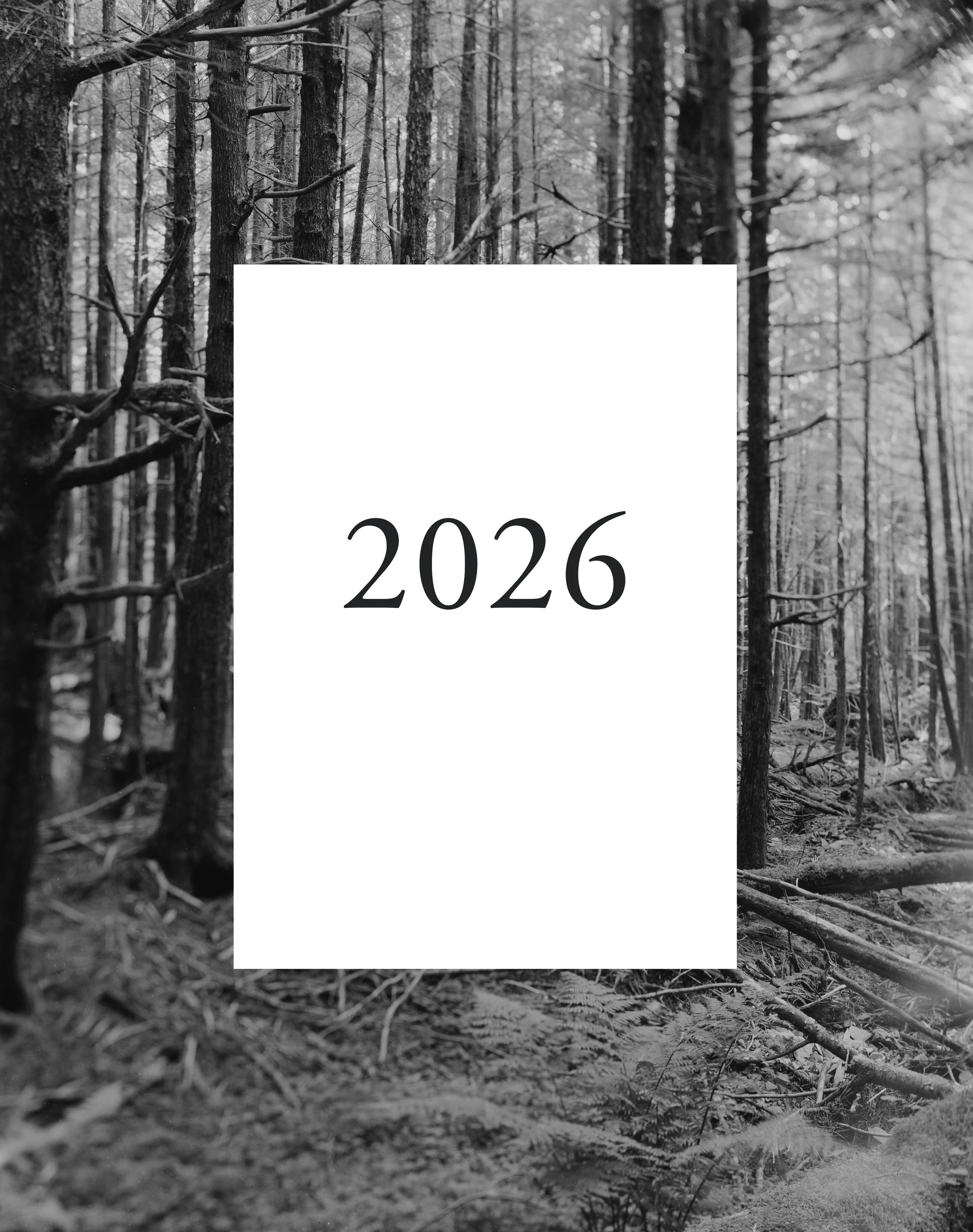 Photoshop_Files_Collage_Small_Calendar.jpg (Copy)