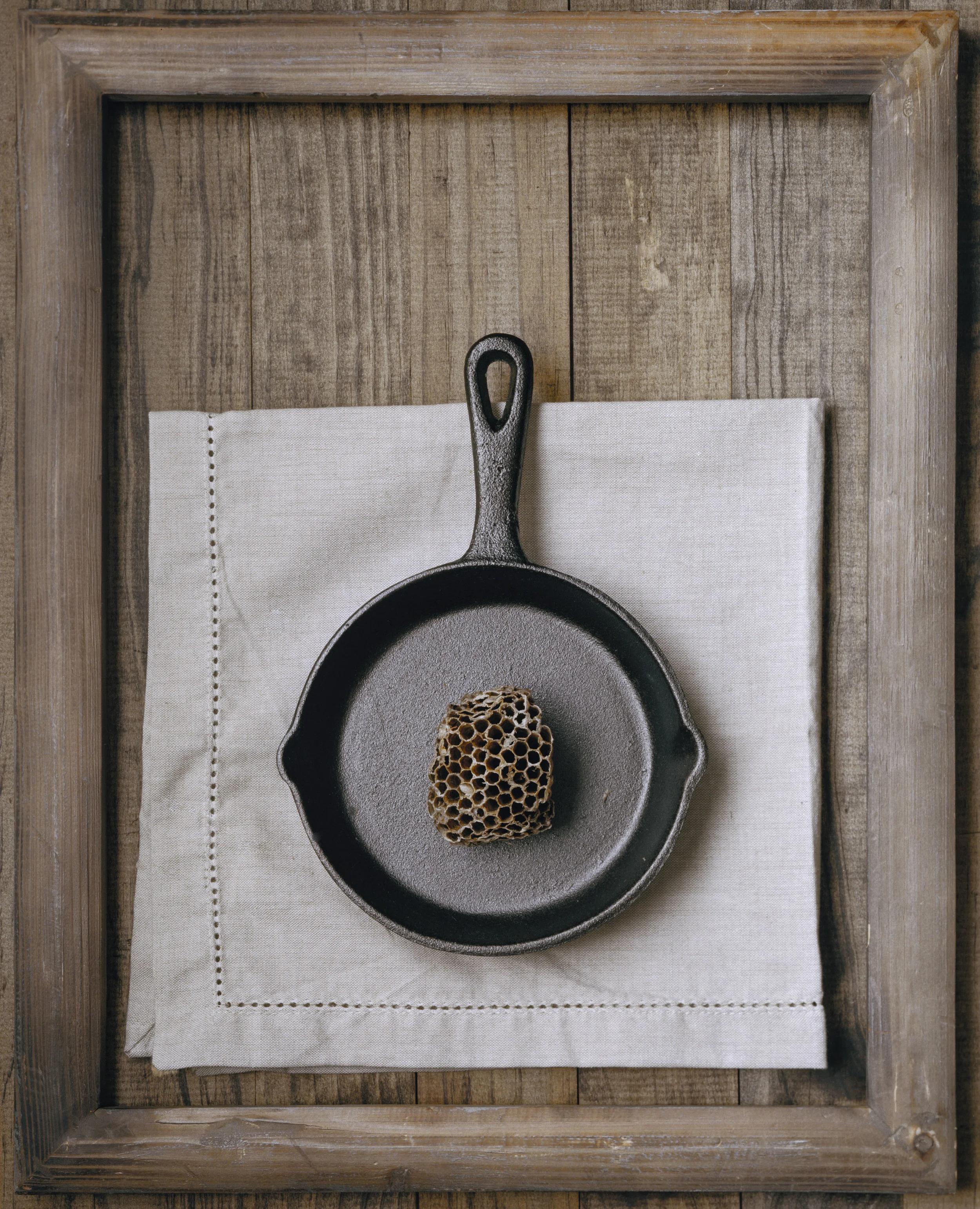 Hagestad_Alexis_Found Object Still Life's-1.jpg