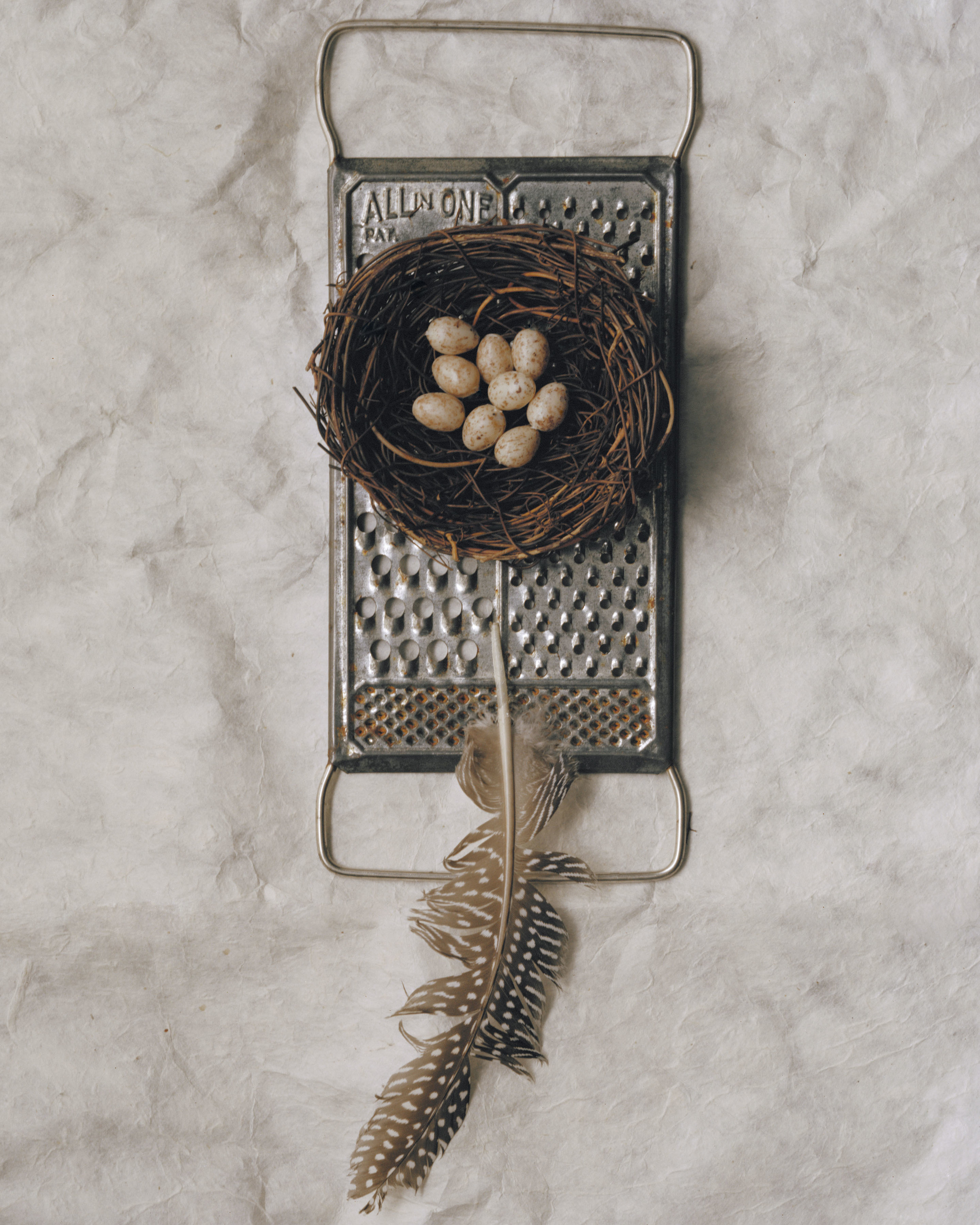 Hagestad_Alexis_Found Object Still Life's-5.jpg