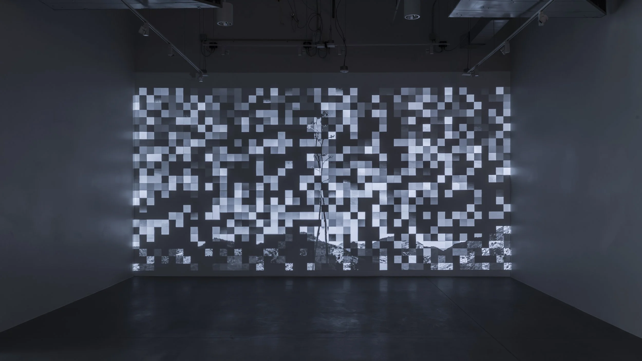  Documentation of  pest control: 1300 pixels , at the Visual Arts Research Studios Project Space, University of Arizona, Tucson, AZ, 2025 