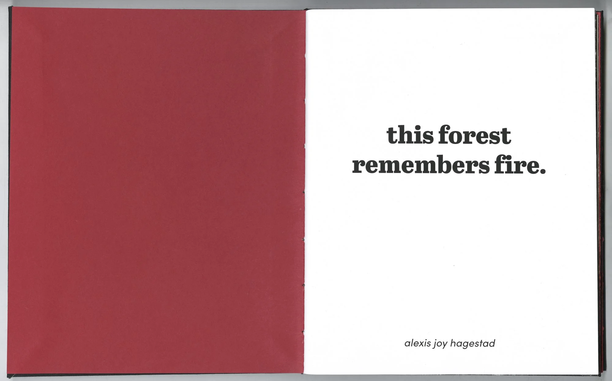 Hagestad_Alexis_Joy_This_Forest_Remembers_Fire_Scans-2.jpg