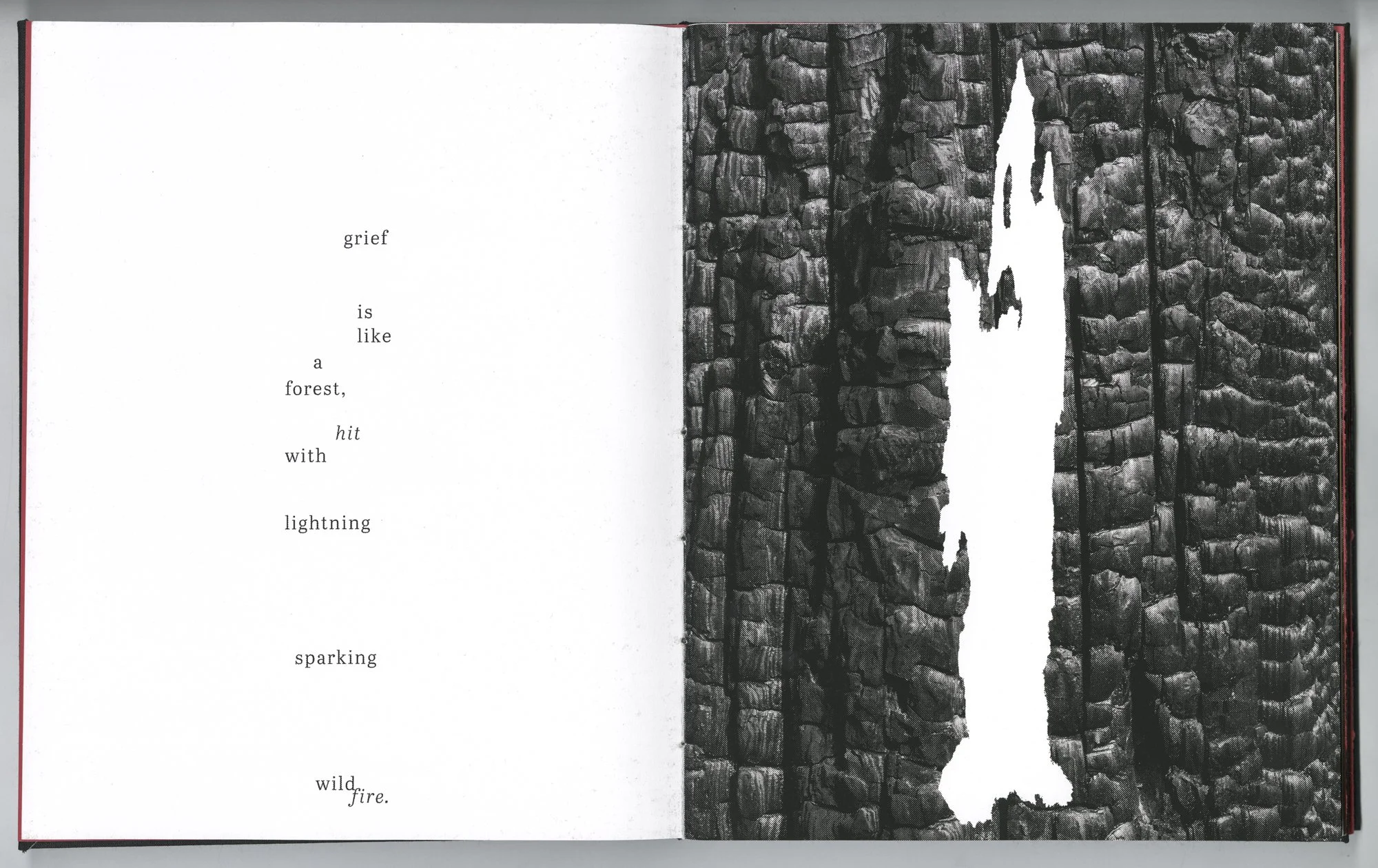 Hagestad_Alexis_Joy_This_Forest_Remembers_Fire_Scans-3.jpg
