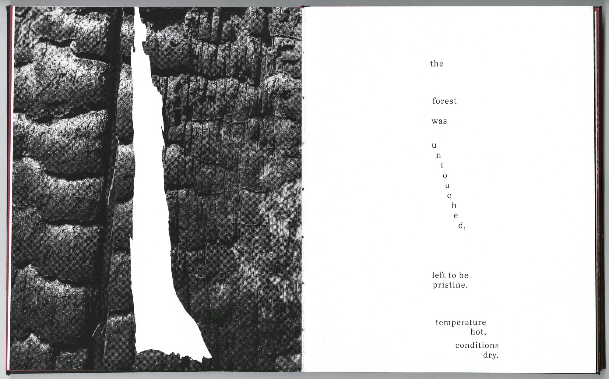 Hagestad_Alexis_Joy_This_Forest_Remembers_Fire_Scans-4.jpg