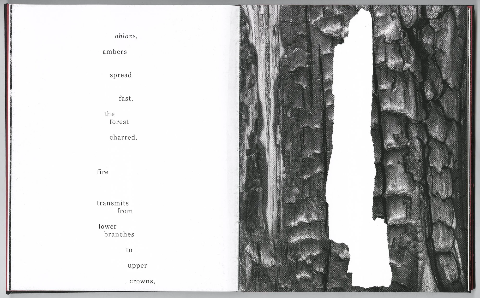 Hagestad_Alexis_Joy_This_Forest_Remembers_Fire_Scans-5.jpg