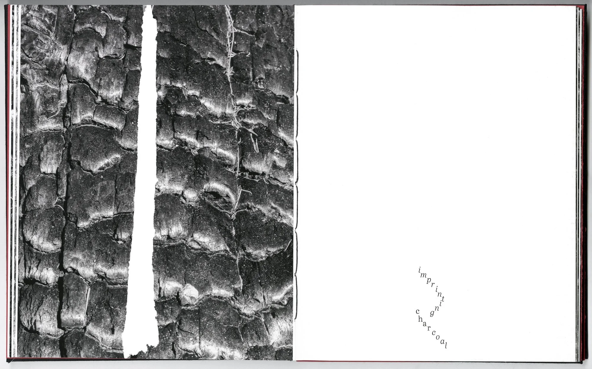 Hagestad_Alexis_Joy_This_Forest_Remembers_Fire_Scans-8.jpg