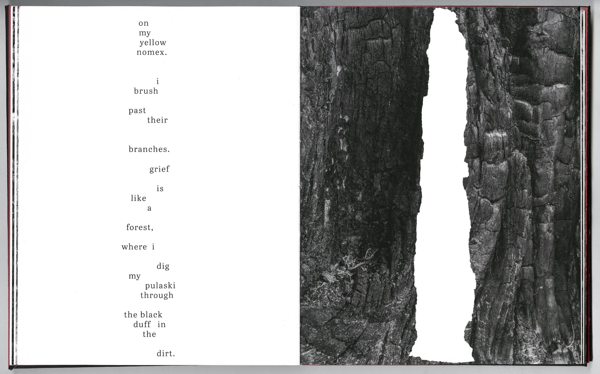 Hagestad_Alexis_Joy_This_Forest_Remembers_Fire_Scans-9.jpg