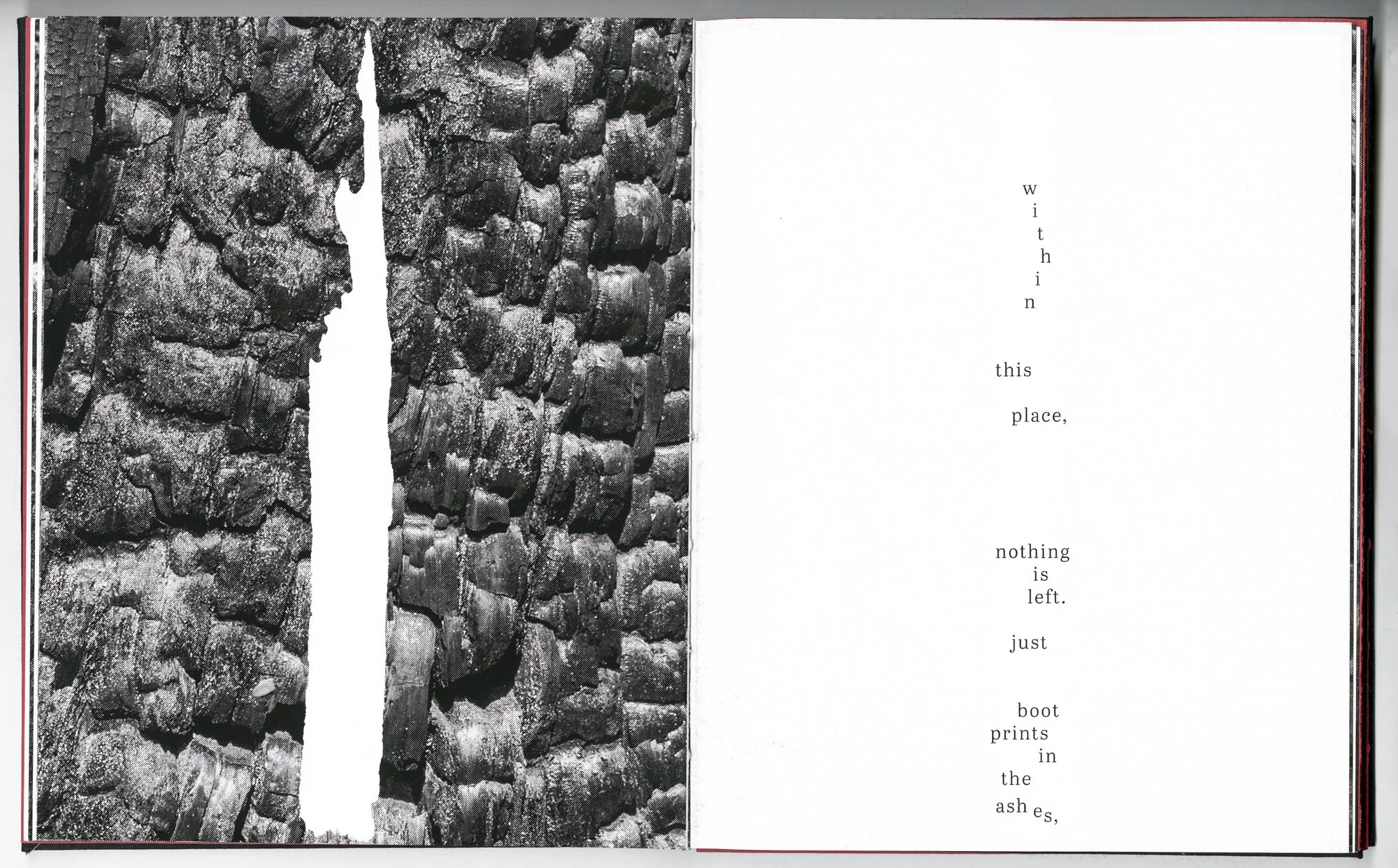 Hagestad_Alexis_Joy_This_Forest_Remembers_Fire_Scans-10.jpg