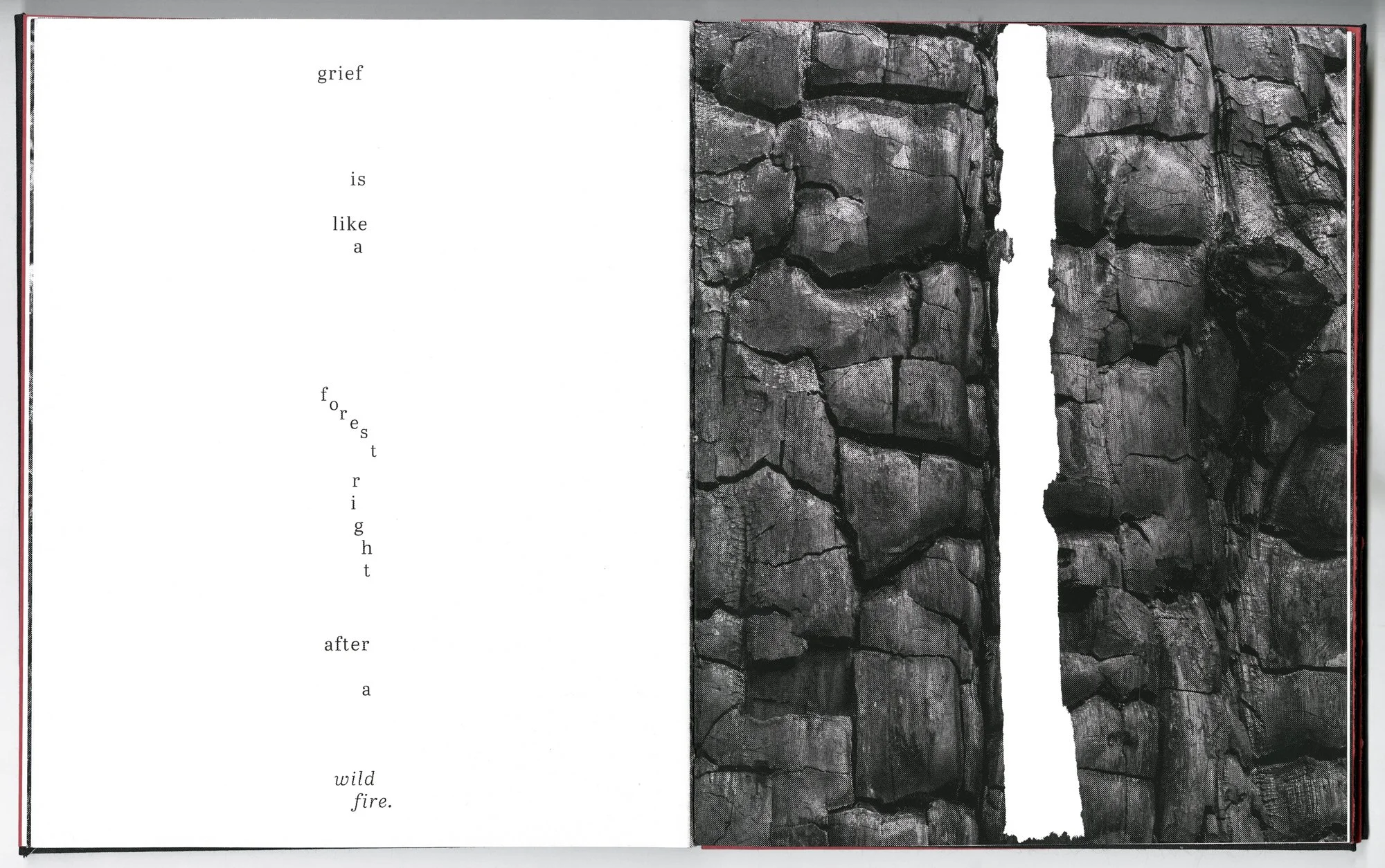 Hagestad_Alexis_Joy_This_Forest_Remembers_Fire_Scans-11.jpg