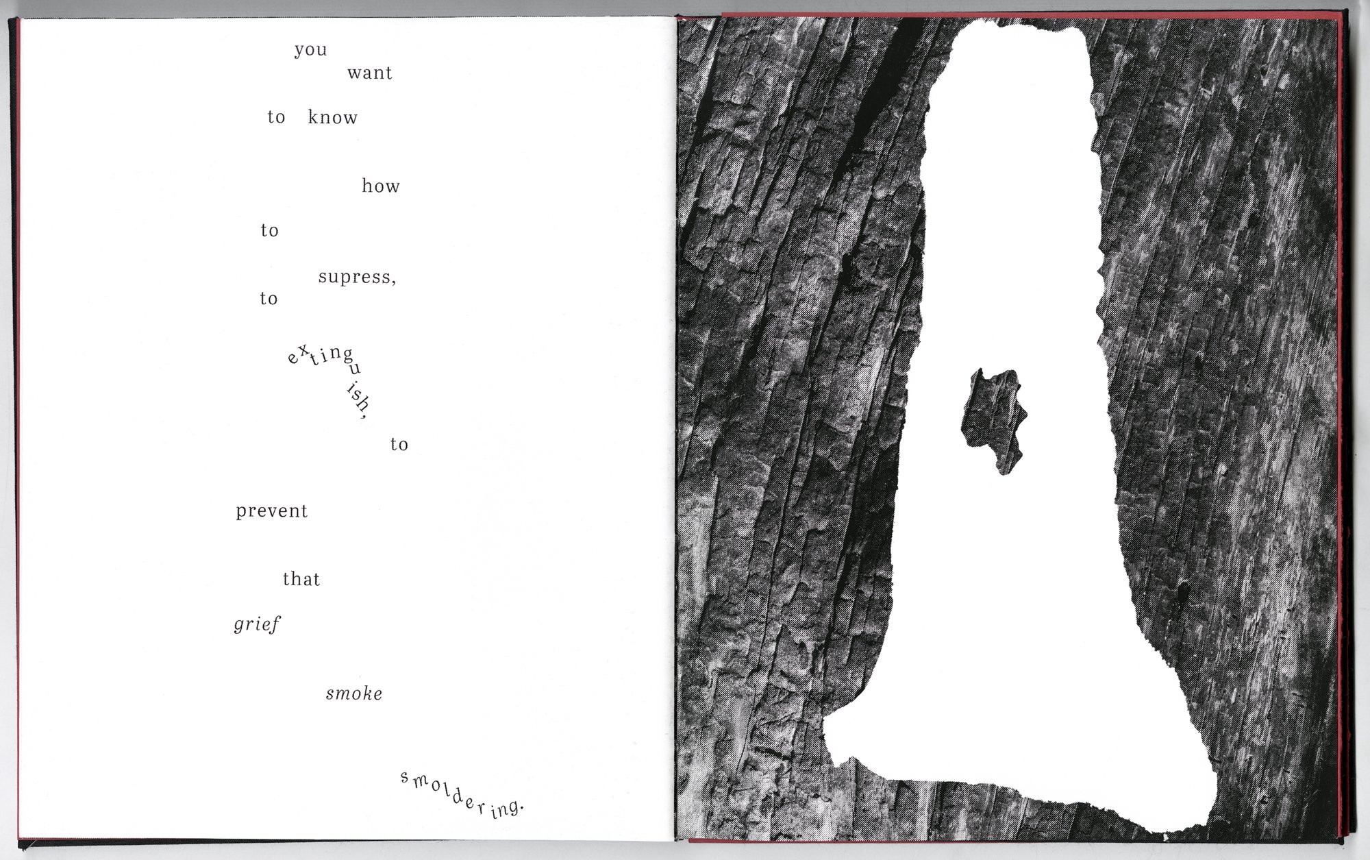 Hagestad_Alexis_Joy_This_Forest_Remembers_Fire_Scans-13.jpg