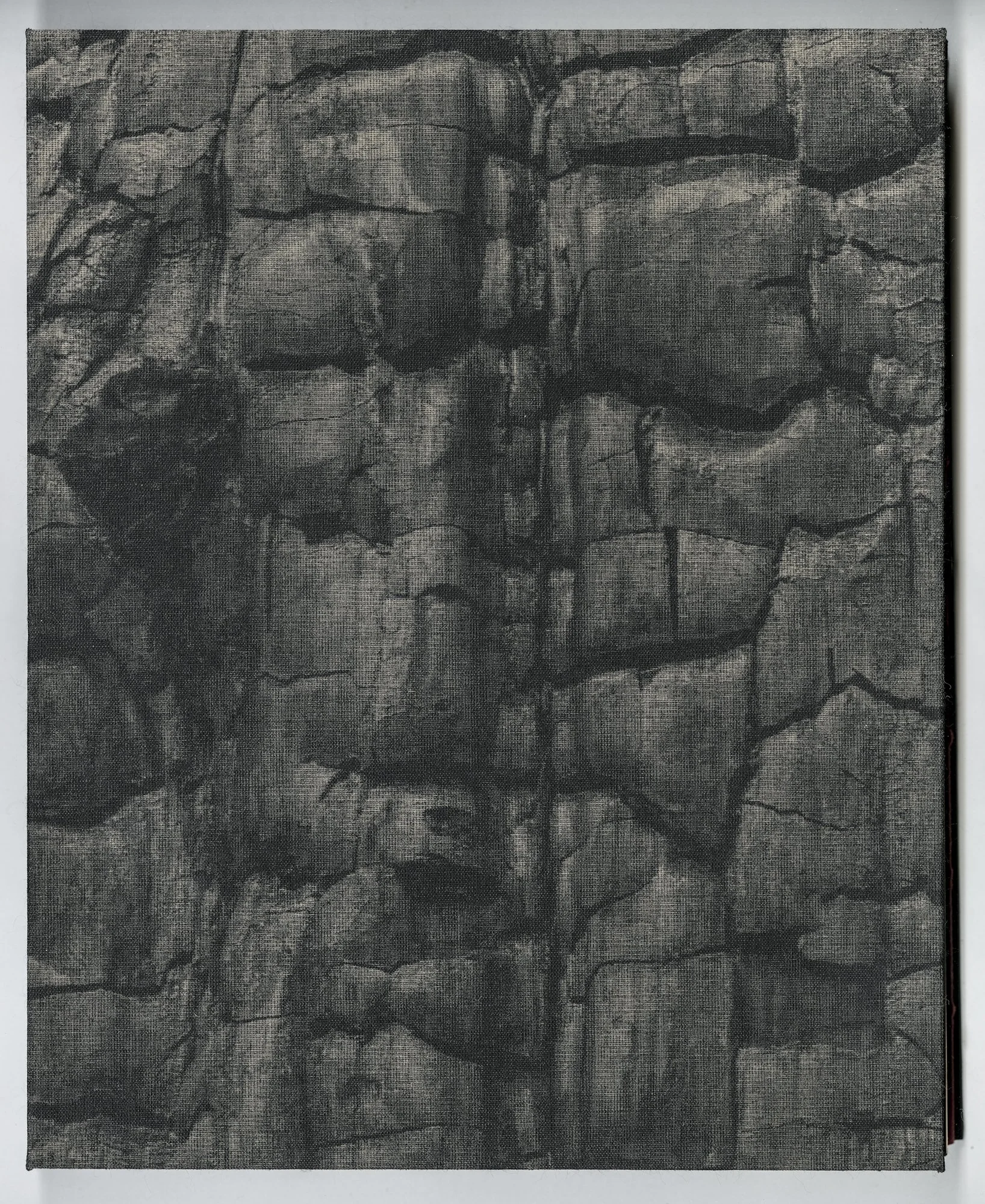 Hagestad_Alexis_Joy_This_Forest_Remembers_Fire_Scans-16.jpg
