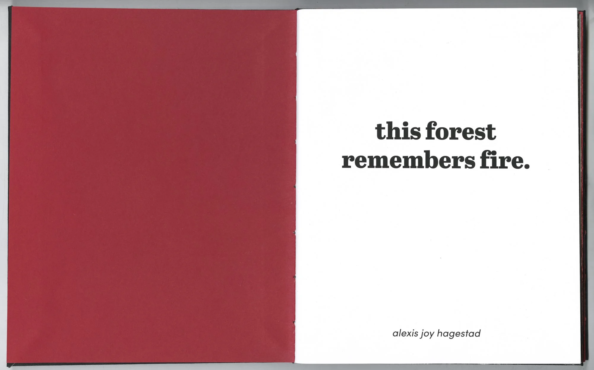 Hagestad_Alexis_Joy_This_Forest_Remembers_Fire_Scans-17.jpg