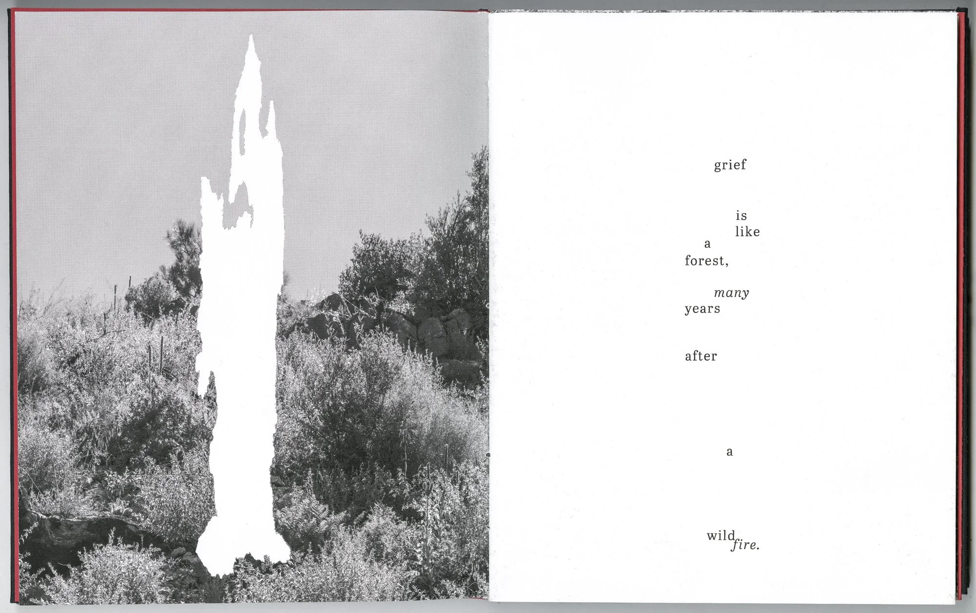 Hagestad_Alexis_Joy_This_Forest_Remembers_Fire_Scans-18.jpg