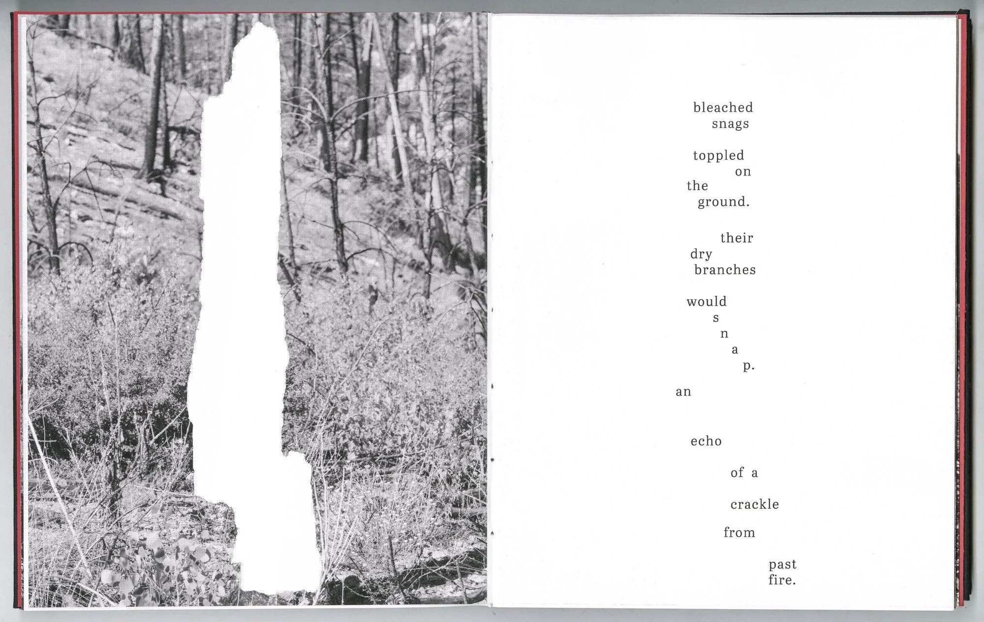Hagestad_Alexis_Joy_This_Forest_Remembers_Fire_Scans-20.jpg
