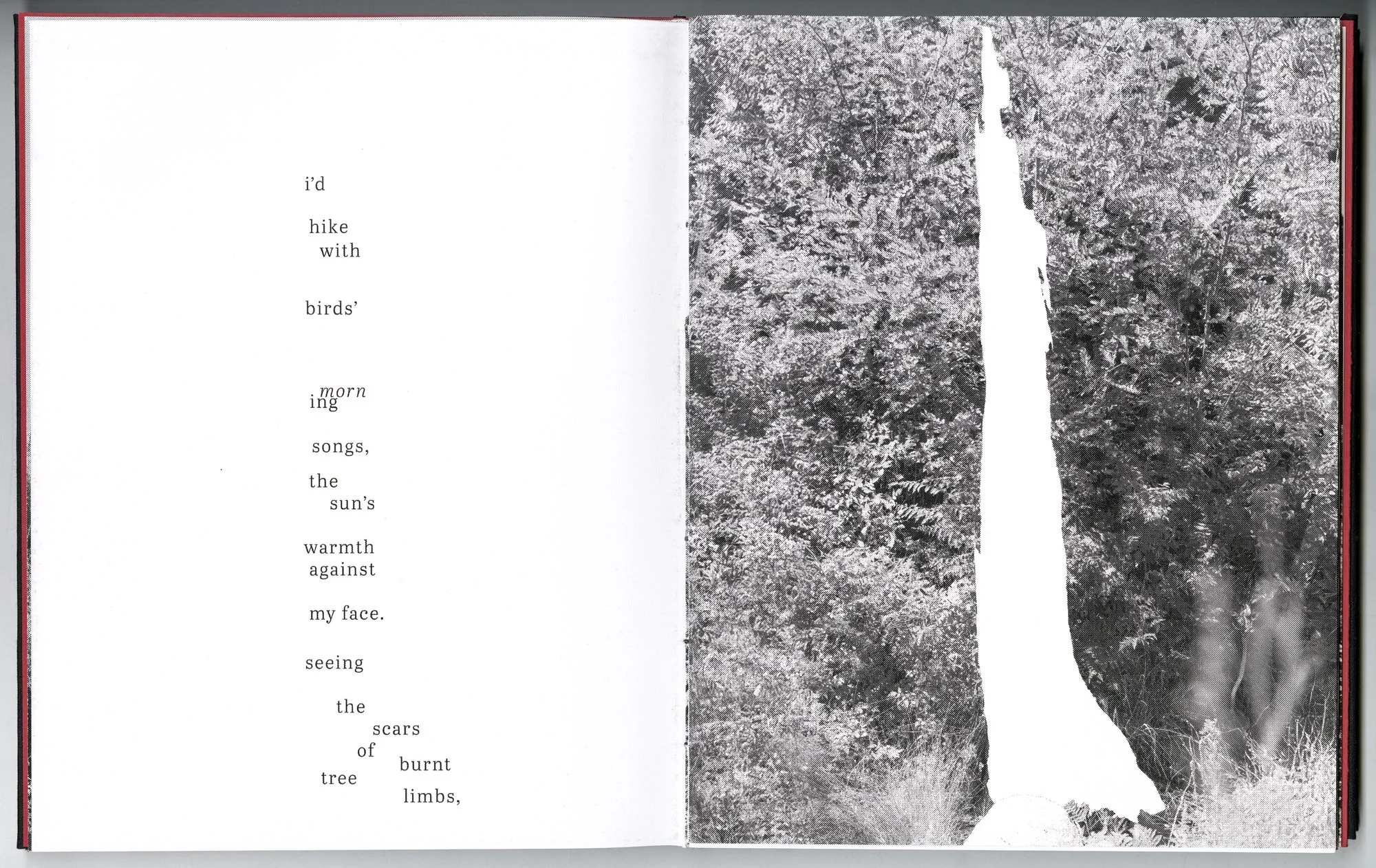 Hagestad_Alexis_Joy_This_Forest_Remembers_Fire_Scans-19.jpg