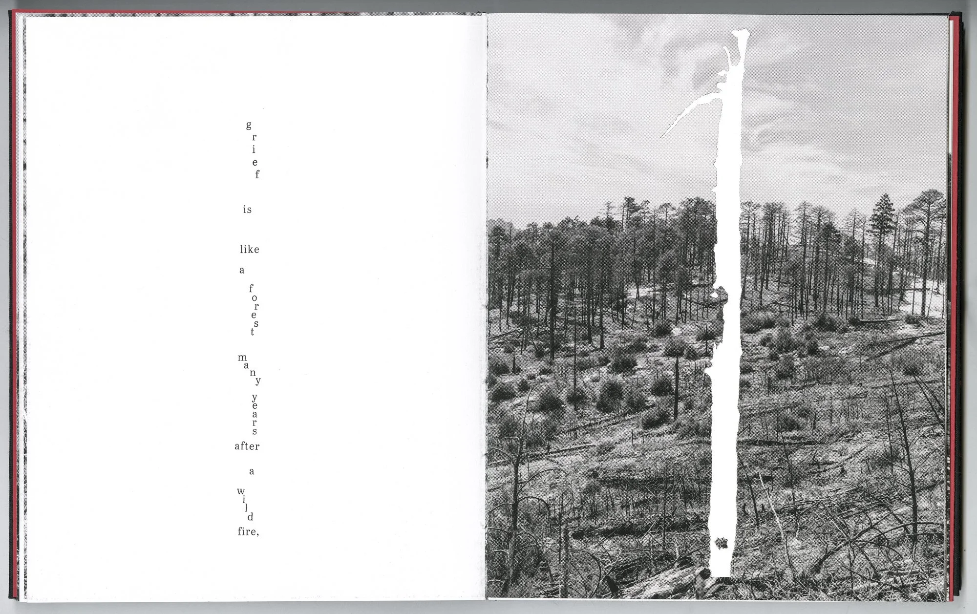 Hagestad_Alexis_Joy_This_Forest_Remembers_Fire_Scans-21.jpg