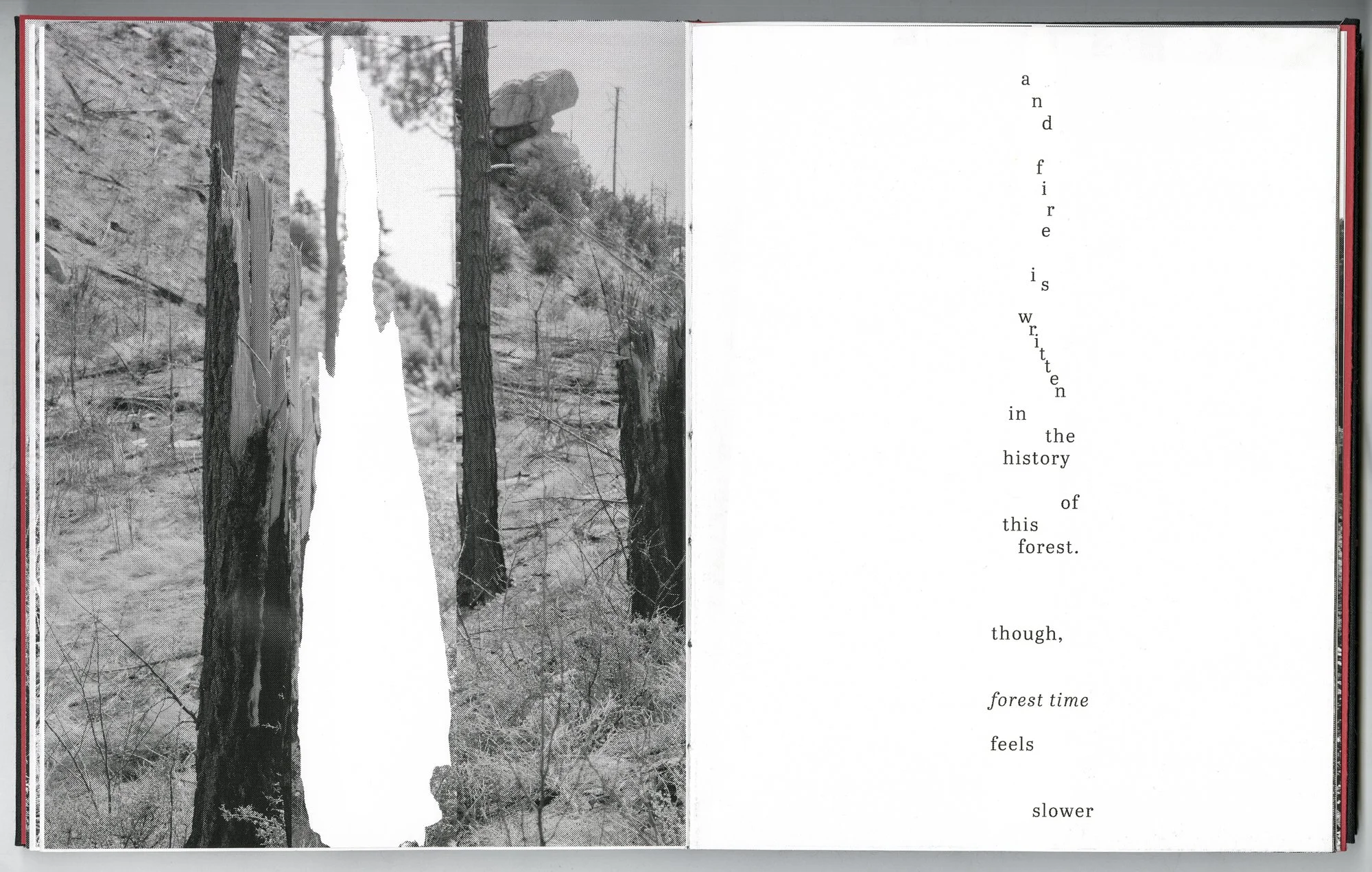Hagestad_Alexis_Joy_This_Forest_Remembers_Fire_Scans-22.jpg