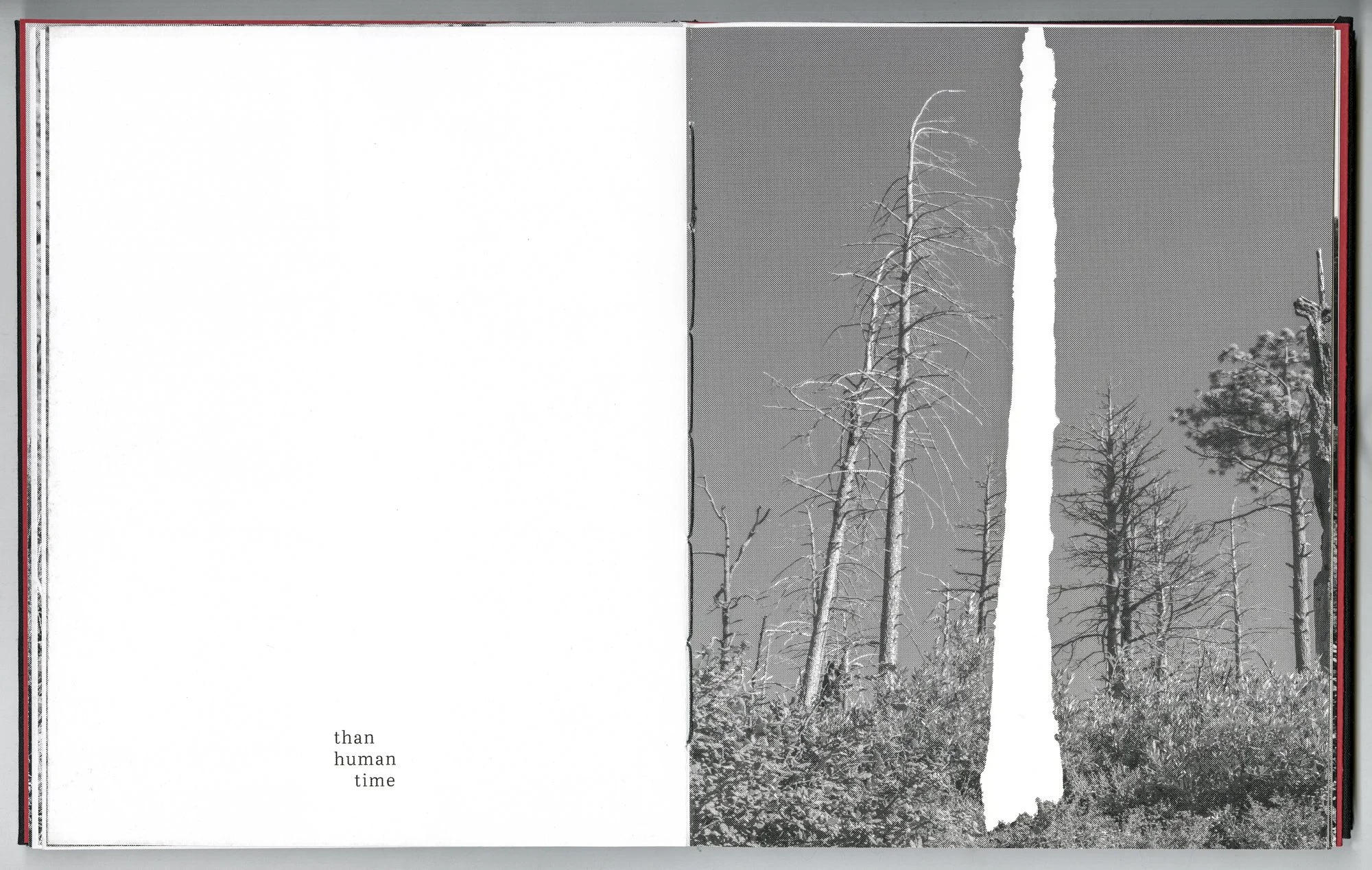 Hagestad_Alexis_Joy_This_Forest_Remembers_Fire_Scans-23.jpg