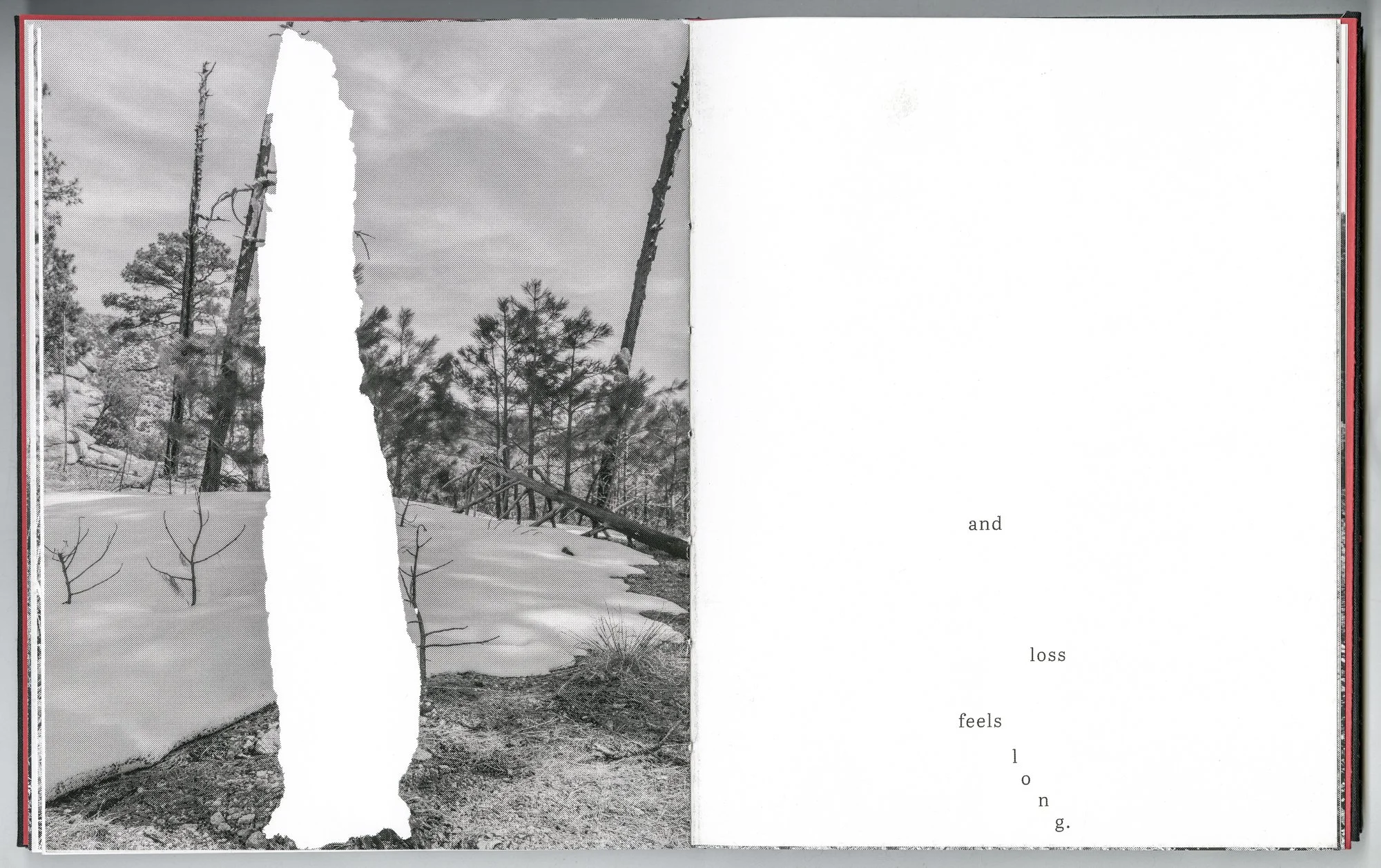 Hagestad_Alexis_Joy_This_Forest_Remembers_Fire_Scans-24.jpg