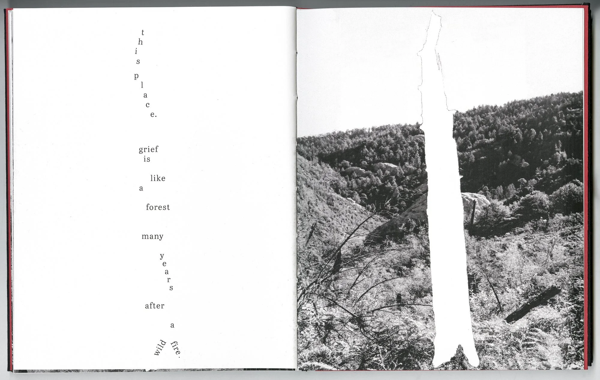 Hagestad_Alexis_Joy_This_Forest_Remembers_Fire_Scans-27.jpg