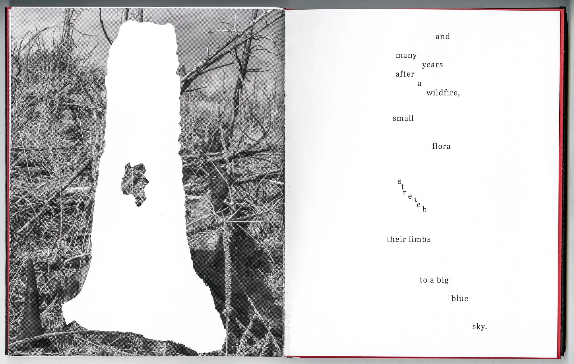 Hagestad_Alexis_Joy_This_Forest_Remembers_Fire_Scans-28.jpg