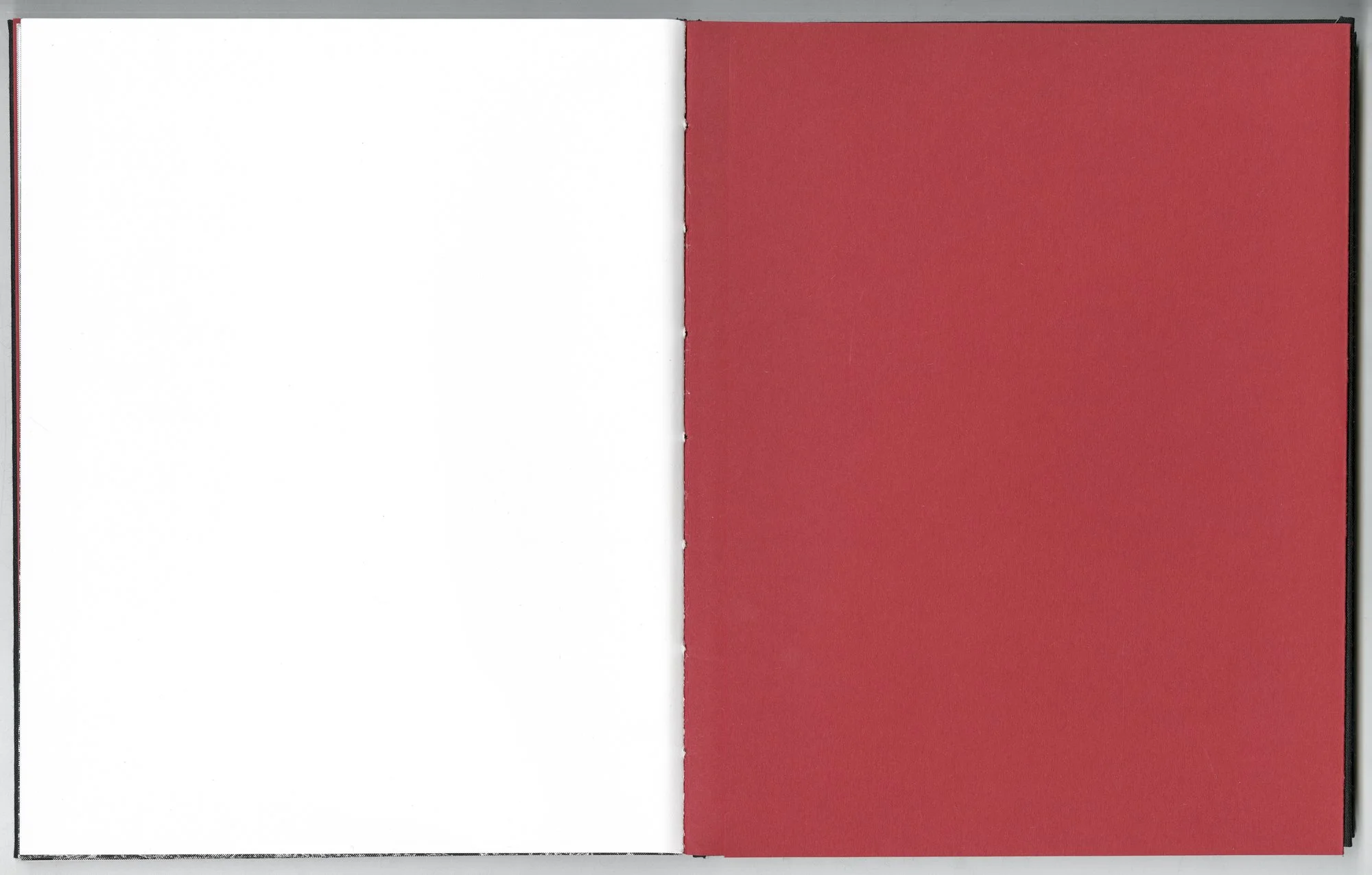 Hagestad_Alexis_Joy_This_Forest_Remembers_Fire_Scans-29.jpg