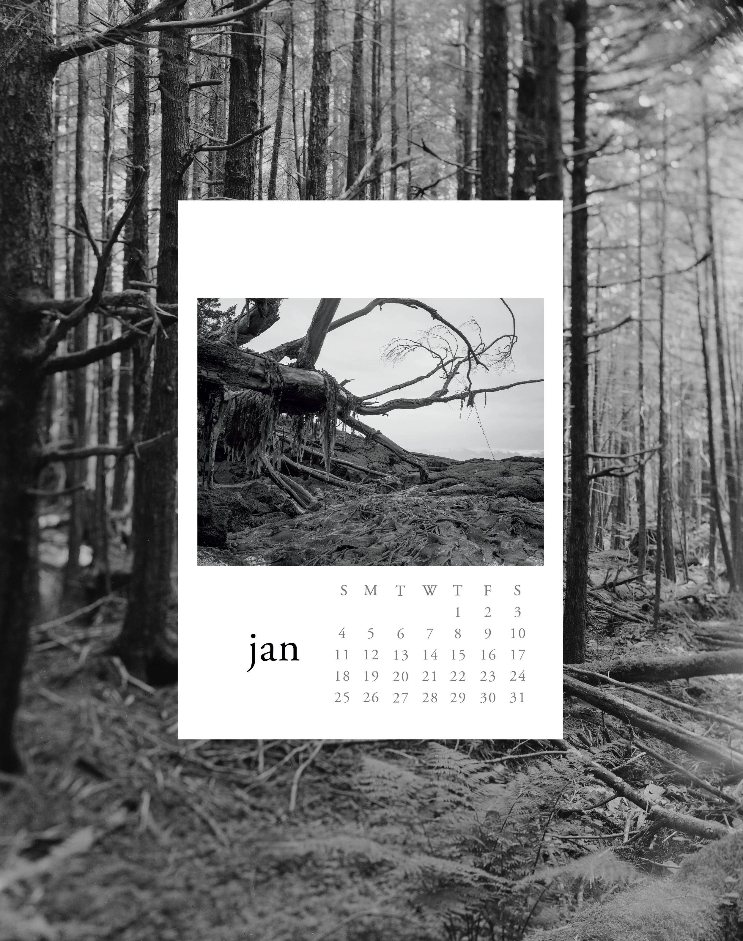 Photoshop_Files_Collage_Small_Calendar_2.jpg (Copy)